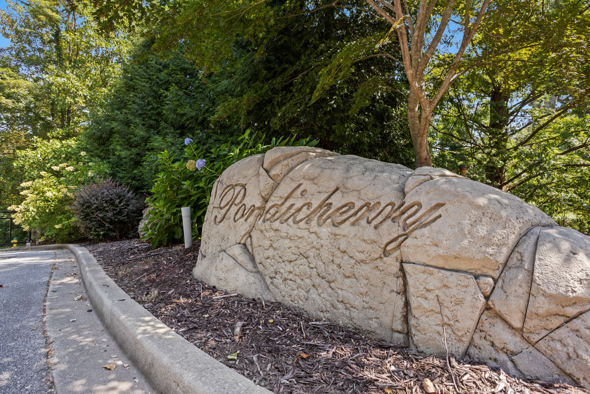  101 Frangipani Way, Greenville, SC 29609 - 物件實景