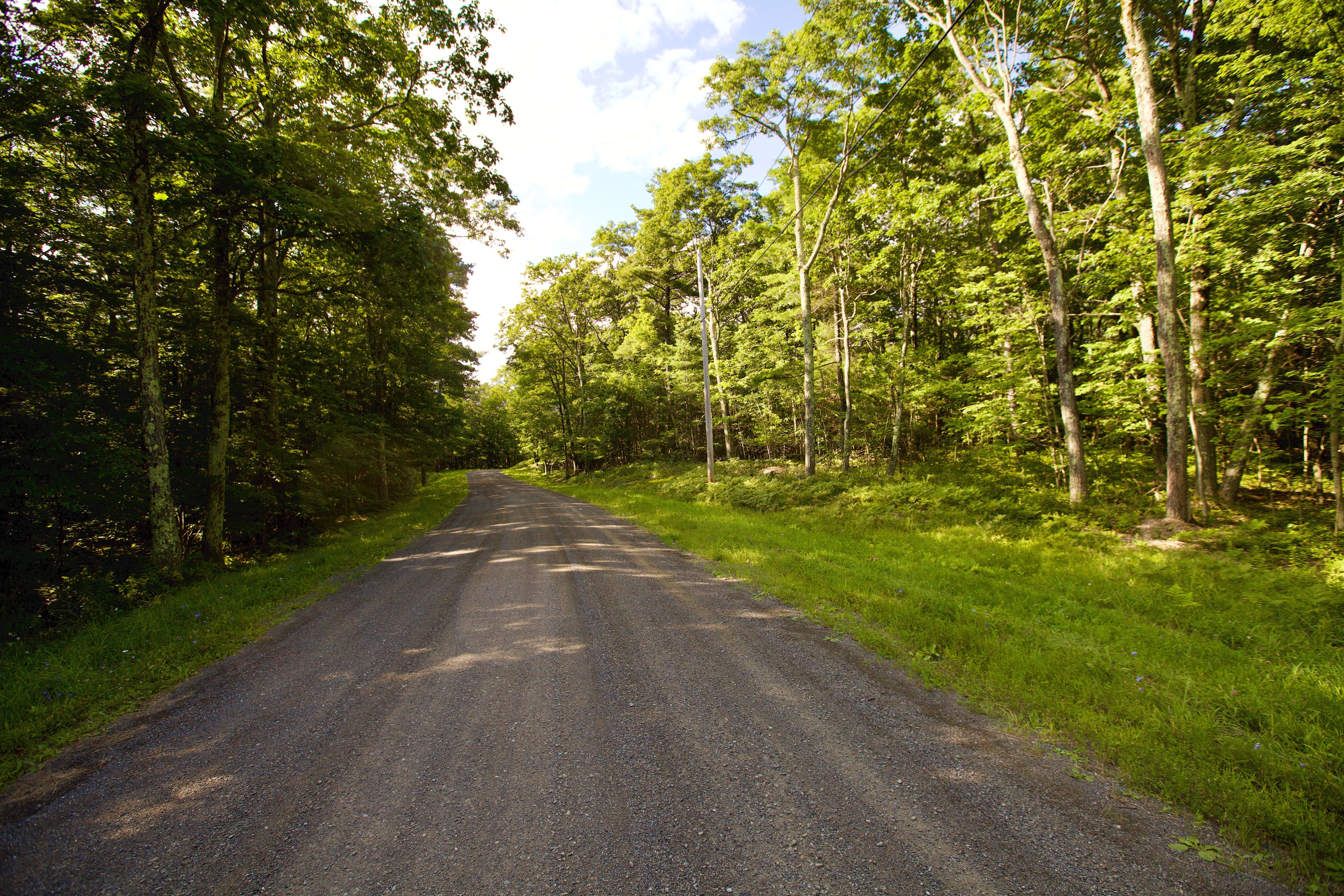  Mercer Mountain Road, Canaan, NY 12060 - 物件實景