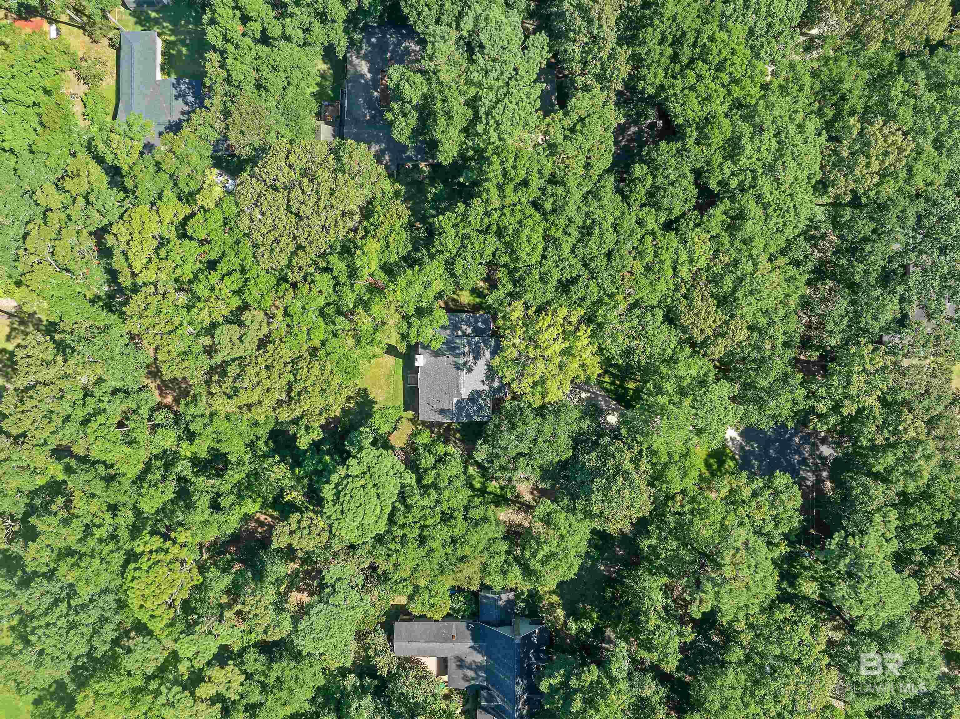 Fairhope, Alabama, 36532, United States, 3 Bedrooms Bedrooms, ,2 BathroomsBathrooms,Residential,For Sale,1895603