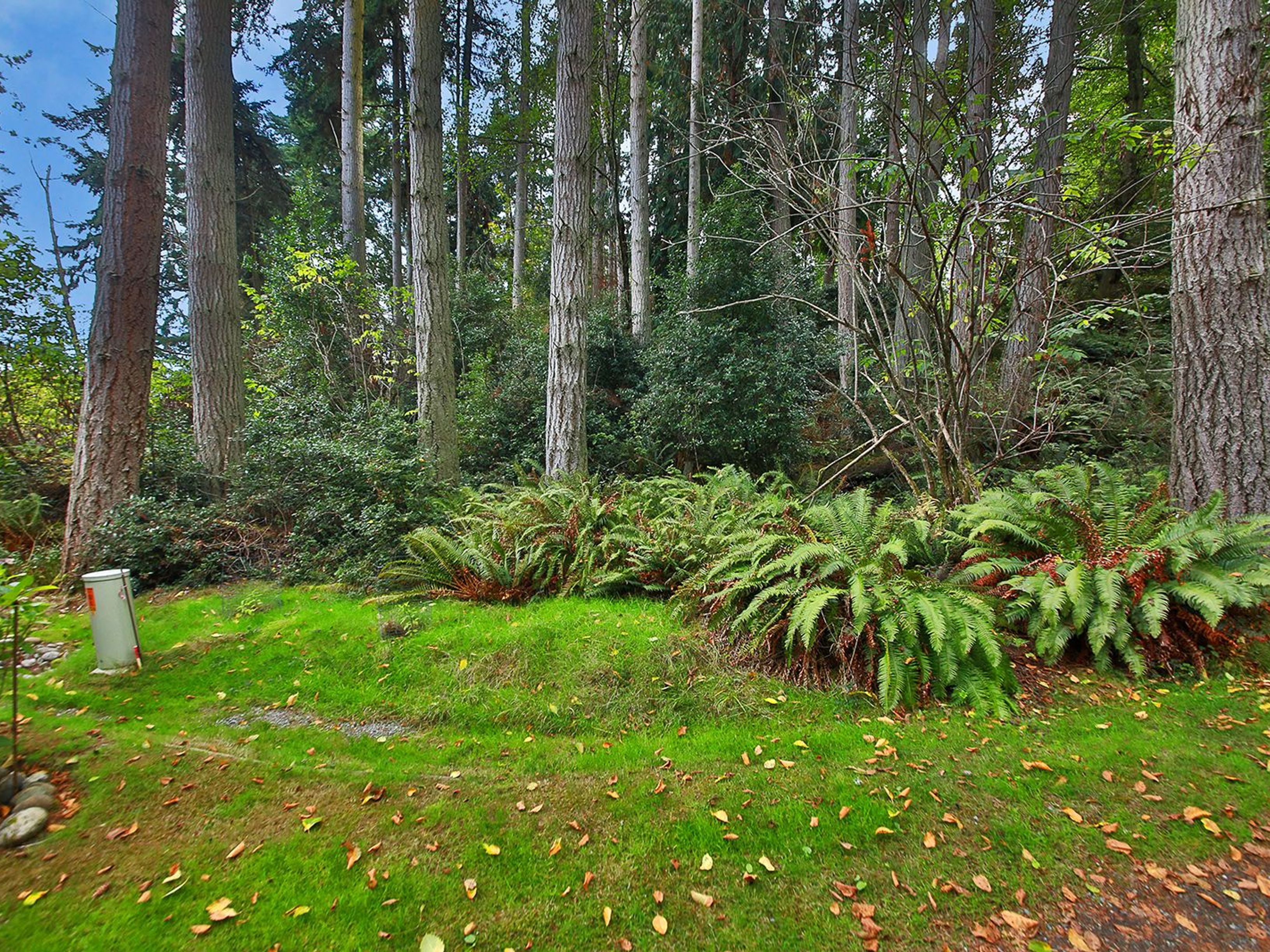  XXX Waterside Lane, Langley, WA 98260 - 物件實景