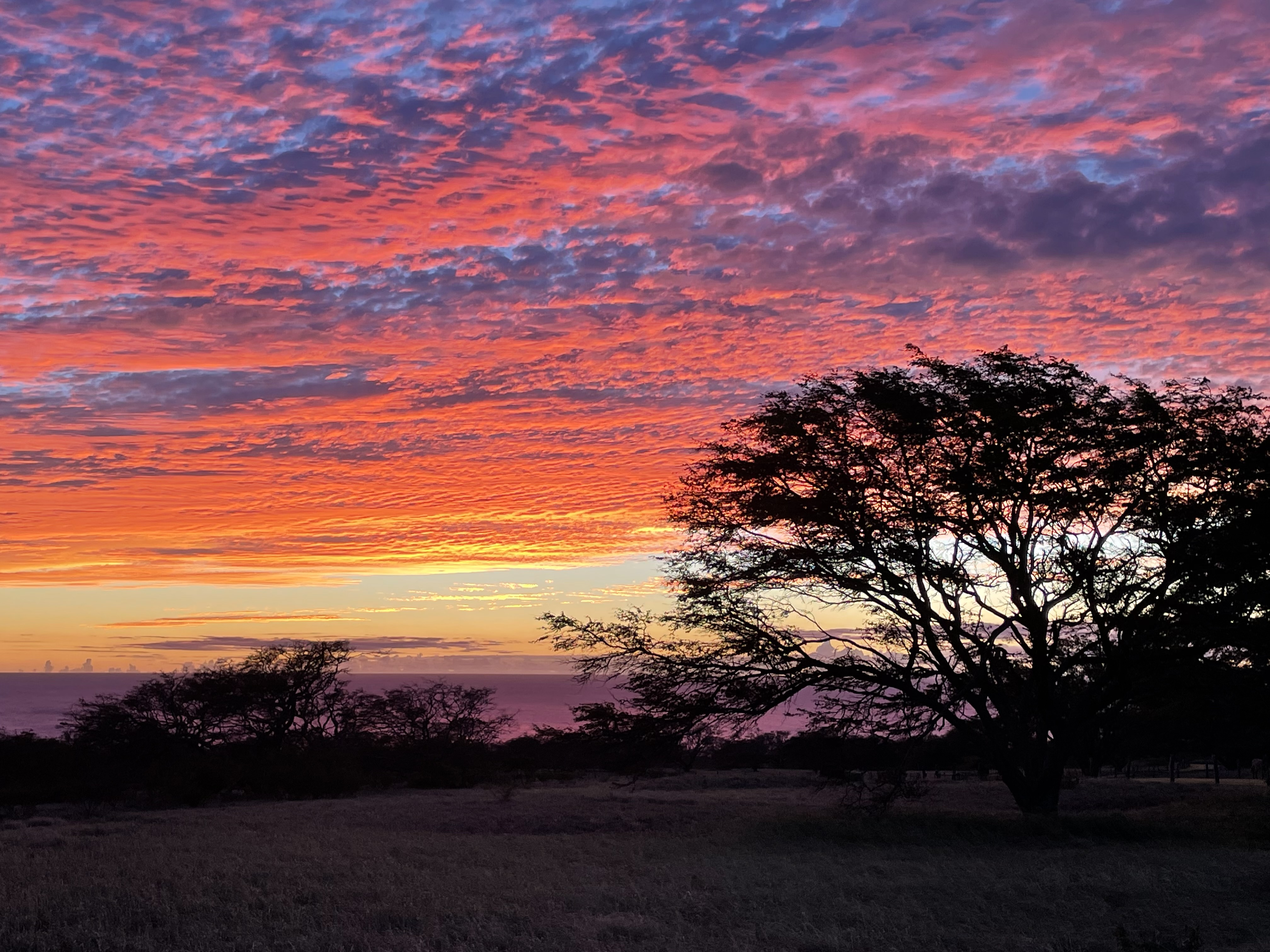 Hawi, Hawaii, 96719, United States, ,Land,For Sale,1758944
