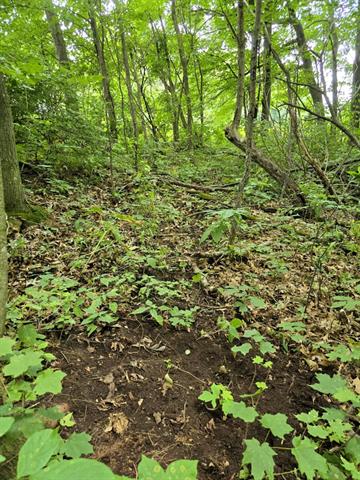 Soldiers Grove, Wisconsin, 54655, United States, ,Residential,For Sale,1904282
