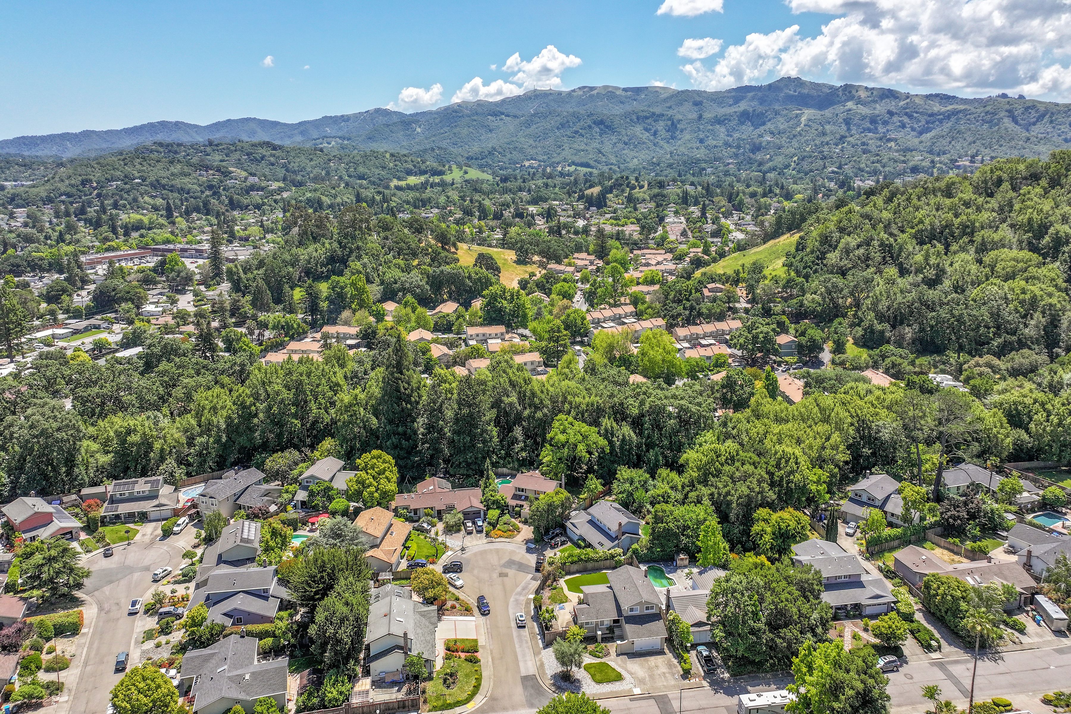  Expansive San Marin Home with Pool - 物件實景