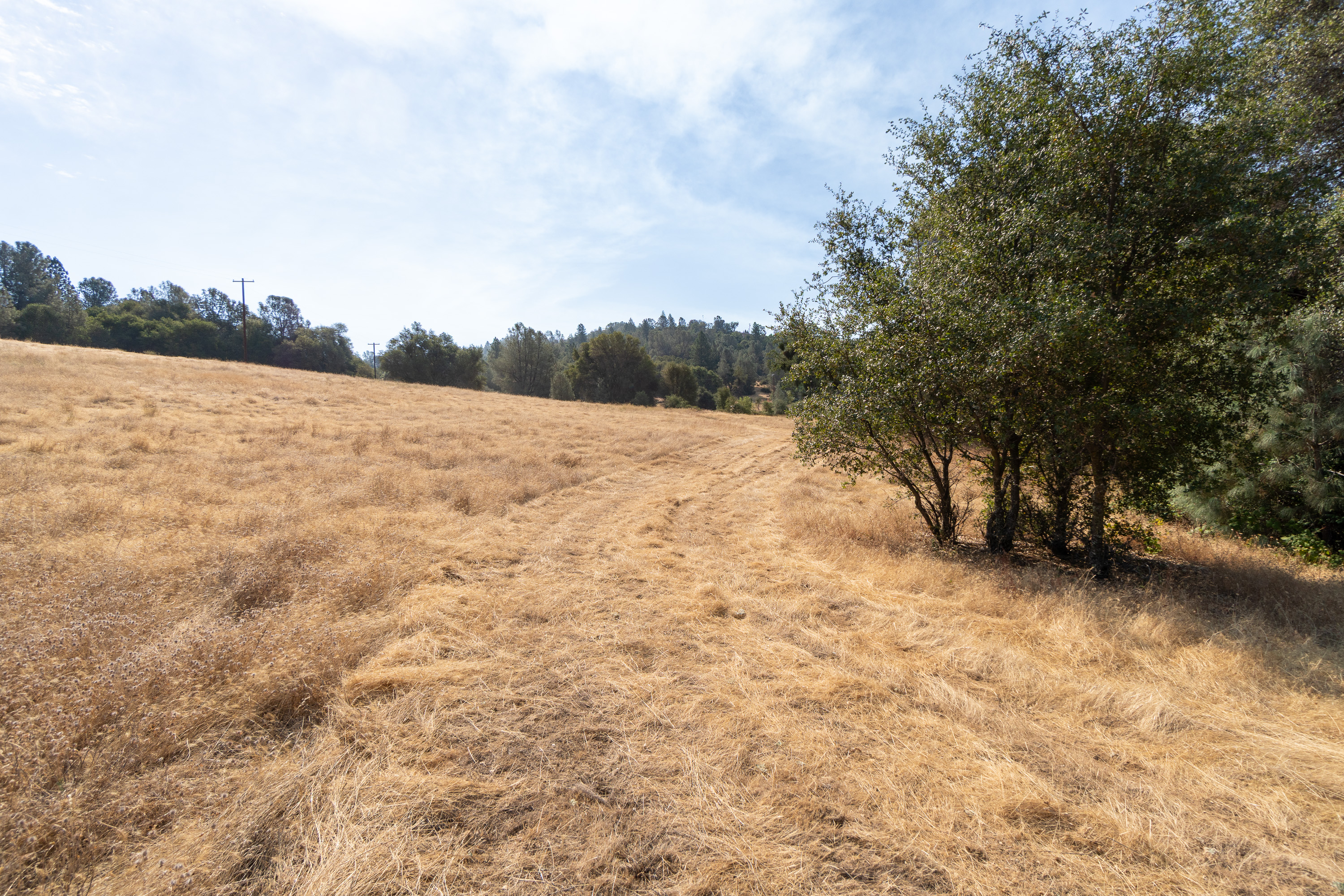  Historic Gold Rush-Era Ranch on 60 Acres in El Dorado County - 物件實景