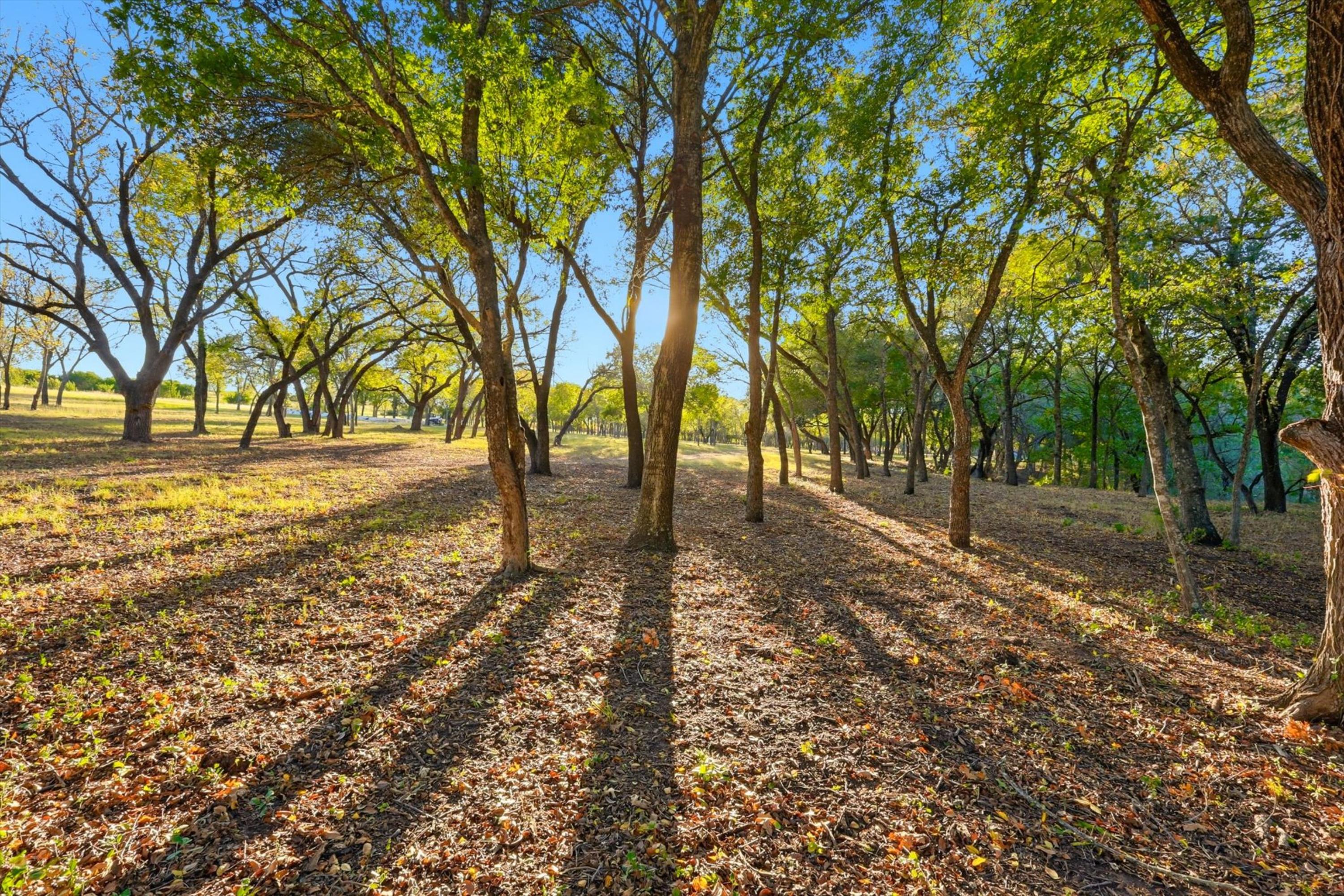  20 Acre Ranchette near luxury golf community in prestigious Aledo ISD - 物件實景