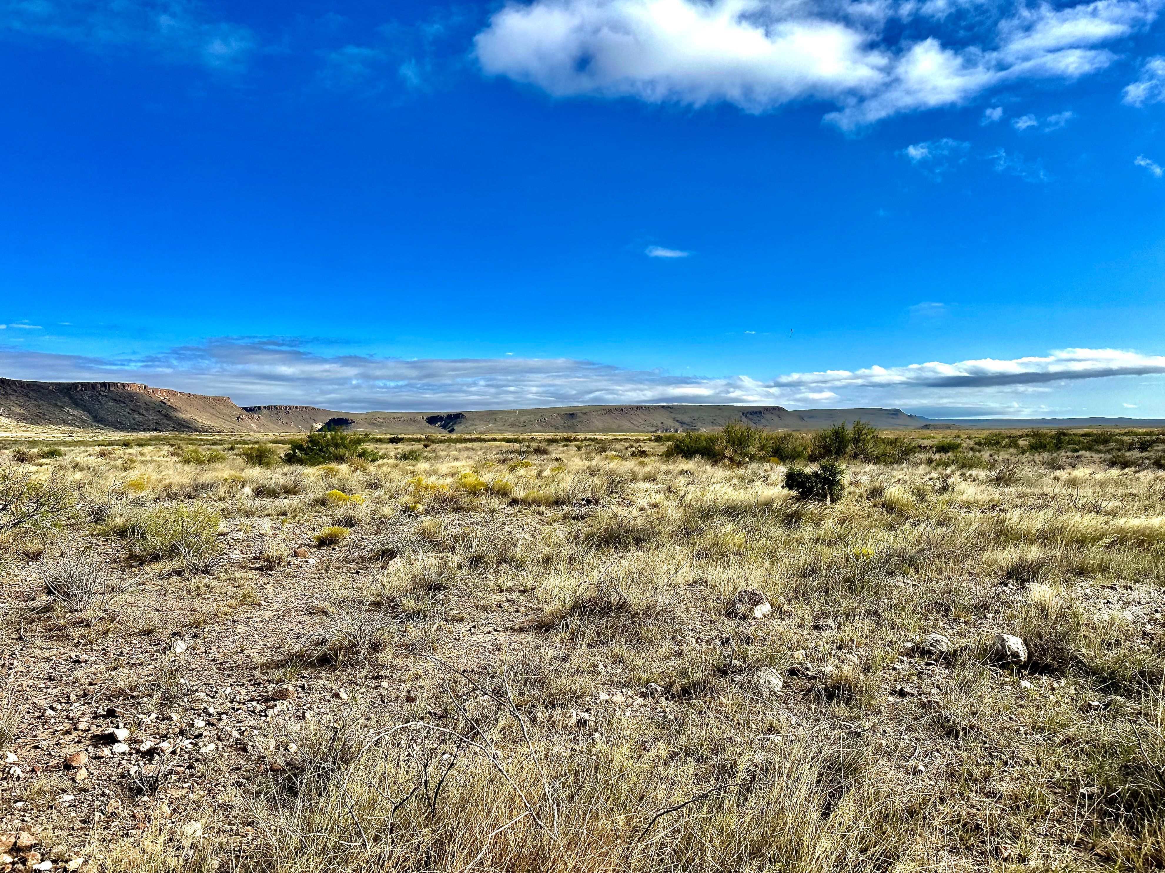  The Alamito Ranch in Presidio County - 物件實景