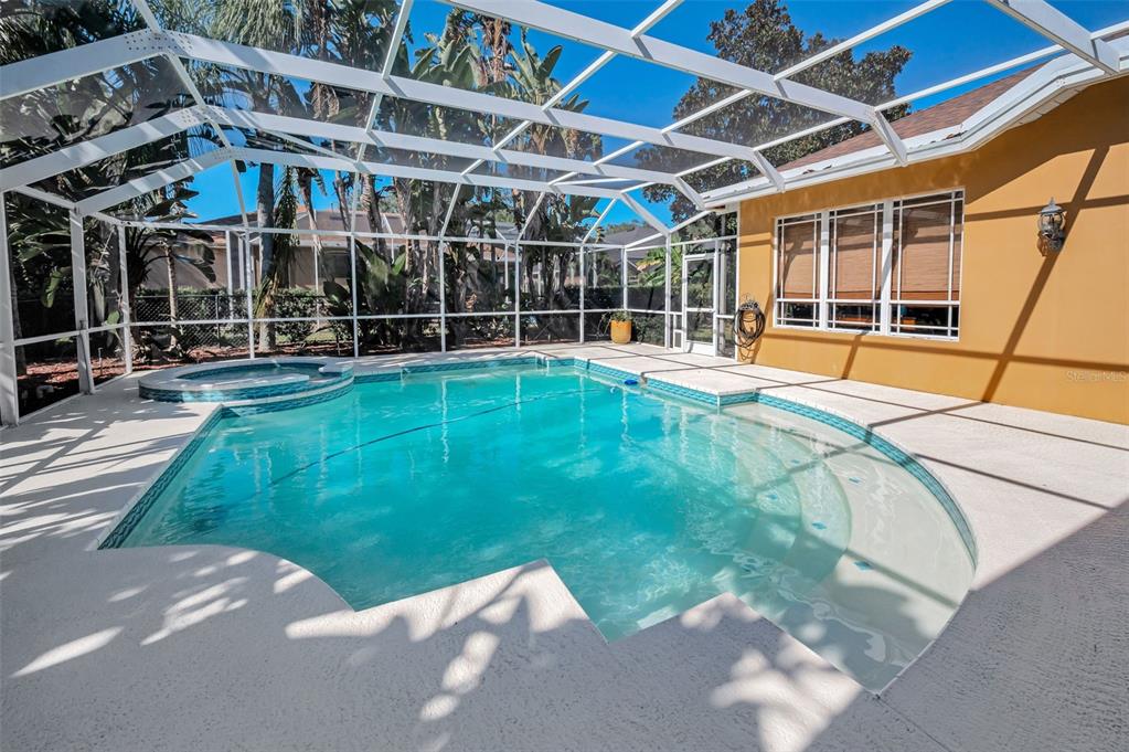 Palm Harbor, Florida, 34685, United States, 4 Bedrooms Bedrooms, ,3 BathroomsBathrooms,Residential,For Sale,1987675