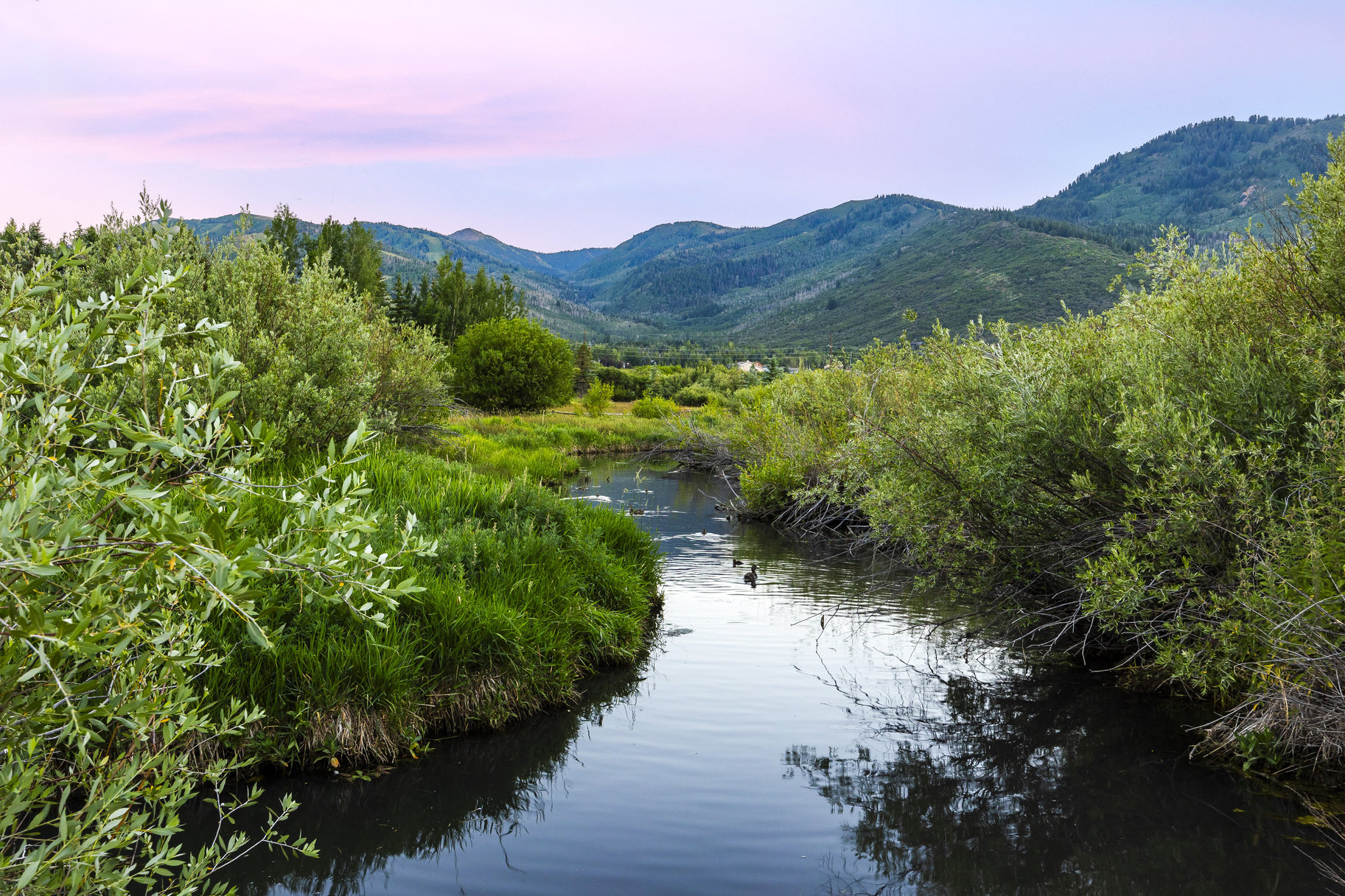  Rare Park Meadows Retreat with Creekside Setting and Expansive Ski Resort Views - 物件實景