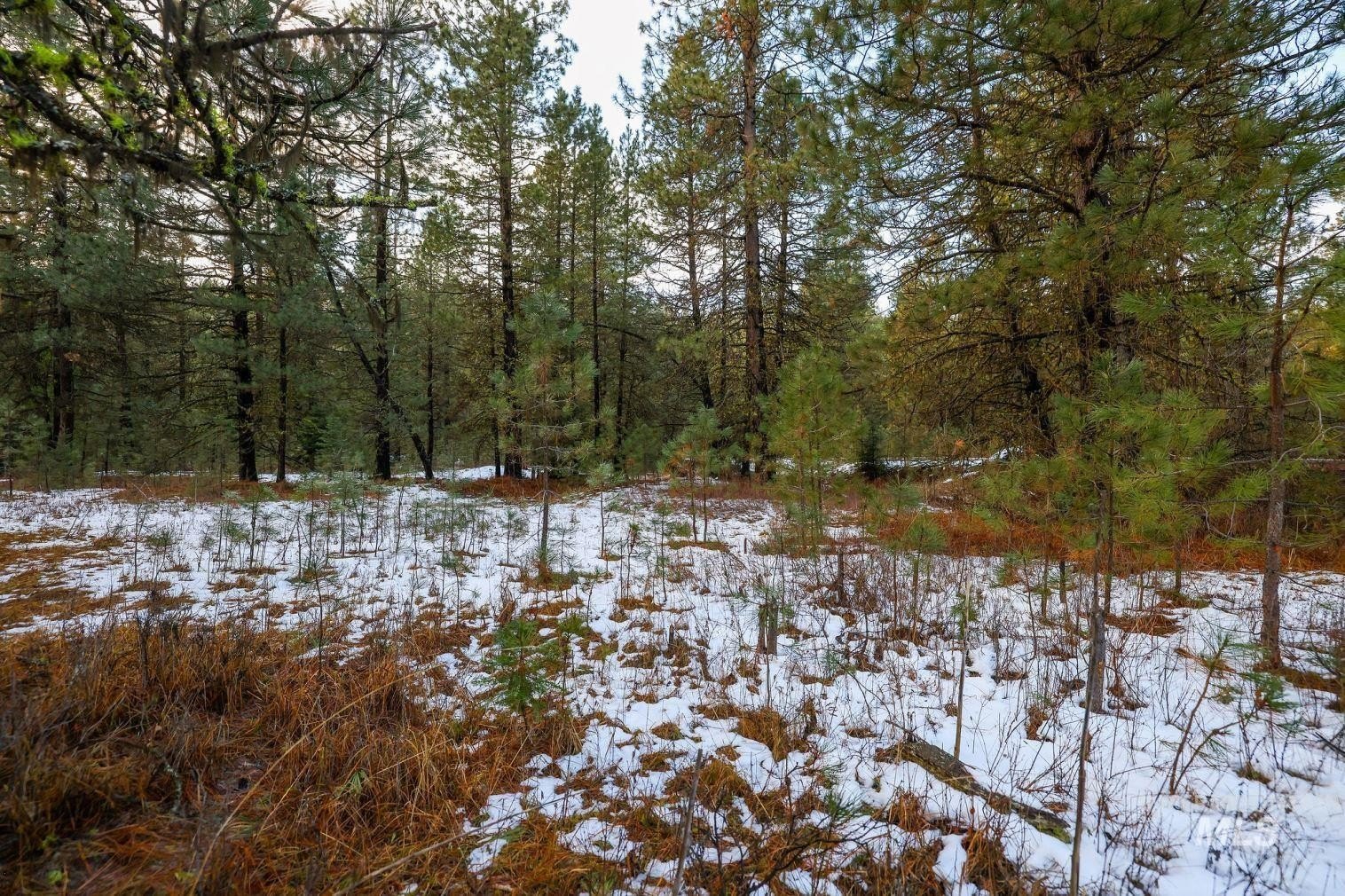 New Meadows, Idaho, 83654, United States, ,Land,For Sale,2006216