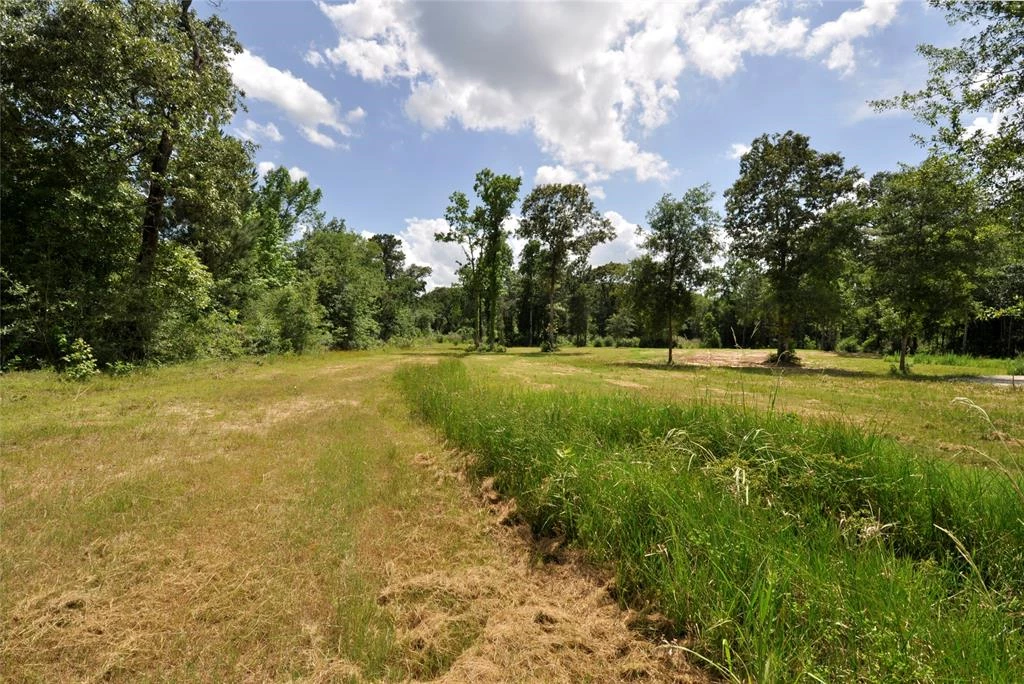 26150 Grand Pines Road, Magnolia, Texas, 77355, United States, ,Land,For Sale,26150 Grand Pines Road,1609479