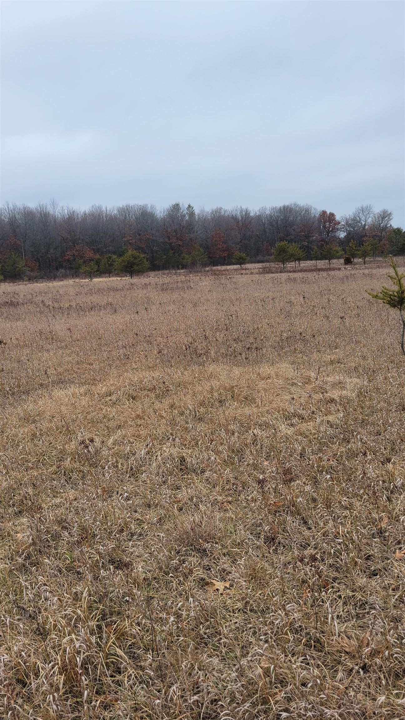200 Acres Birch Lane, Nekoosa, Wisconsin, 54469, United States, ,Land,For Sale,200 Acres Birch Lane,1626792