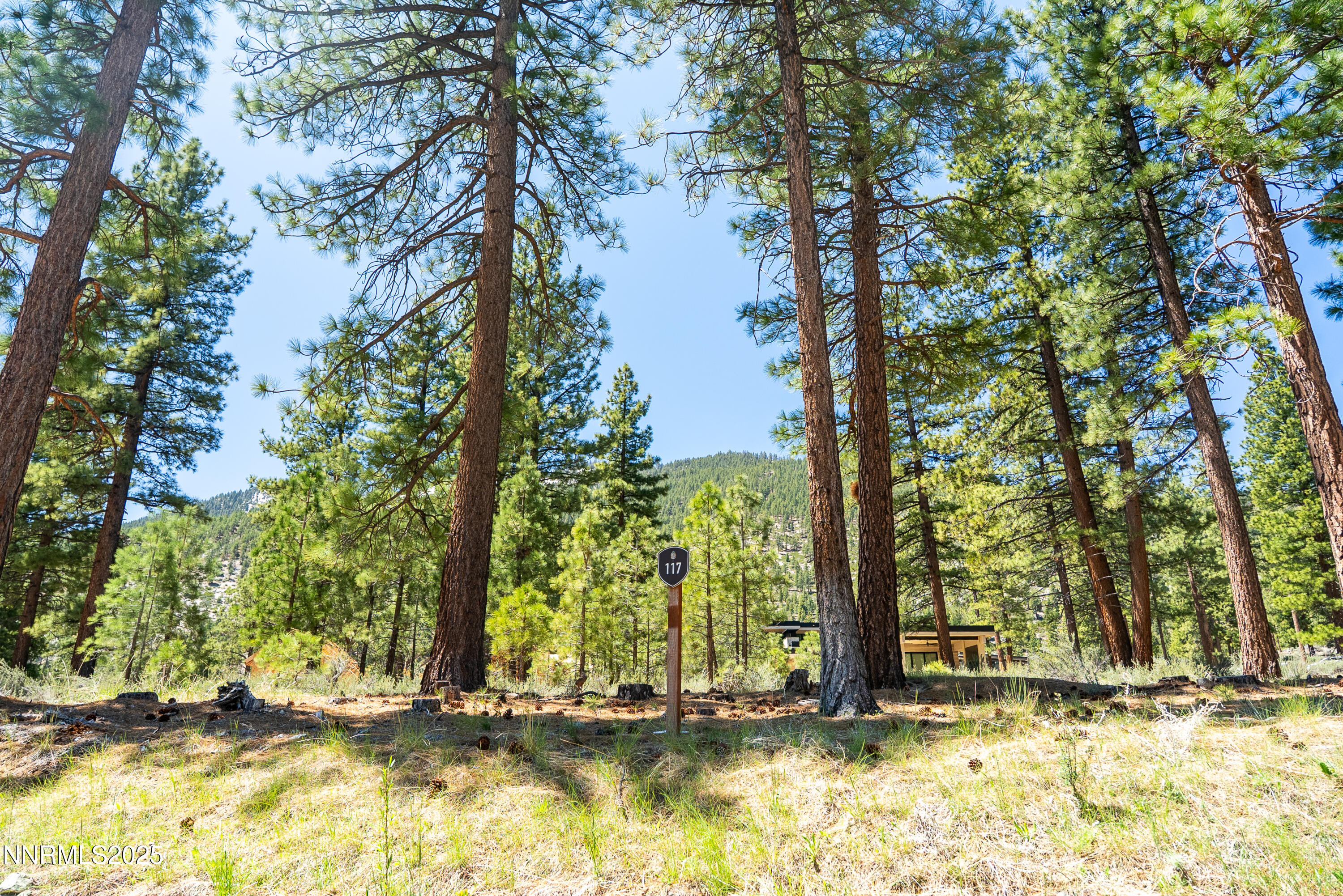 Carson City, Nevada, 89705, United States, ,Land,For Sale,1848376