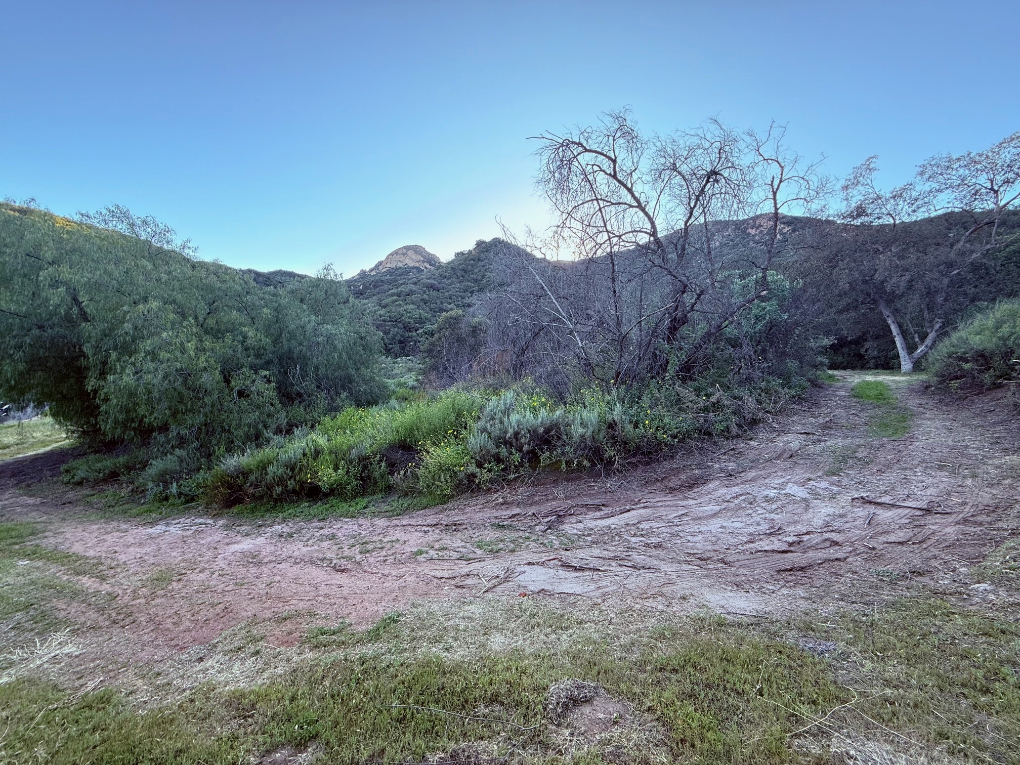  23629 Zuniga Rd - 物件實景