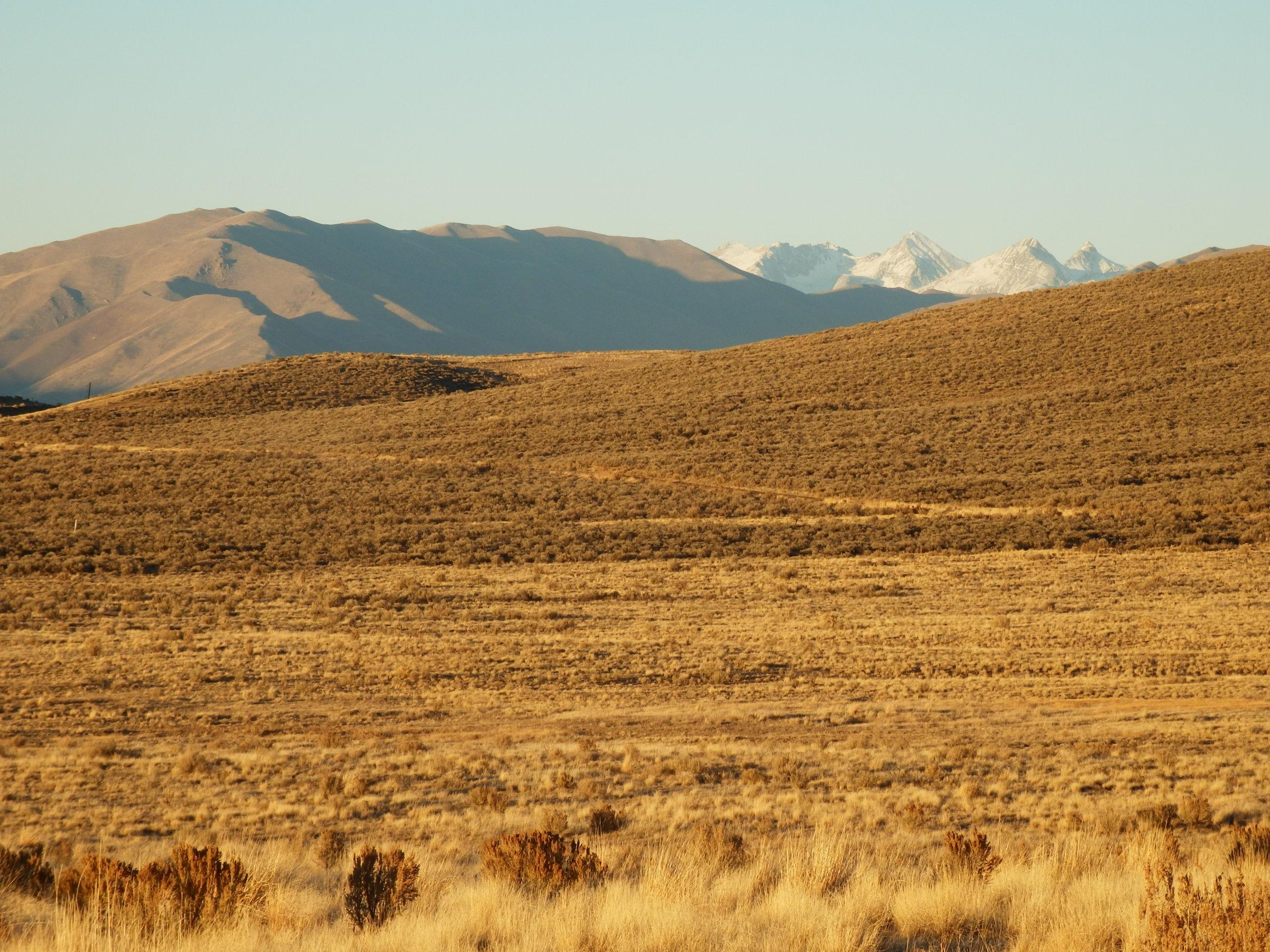 Blaine County, Idaho, 83313, United States, ,Land,For Sale,1784823