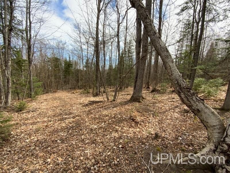 TBD W US 41, Marquette, Michigan, 49855, United States, ,Residential,For Sale,TBD W US 41,1601608