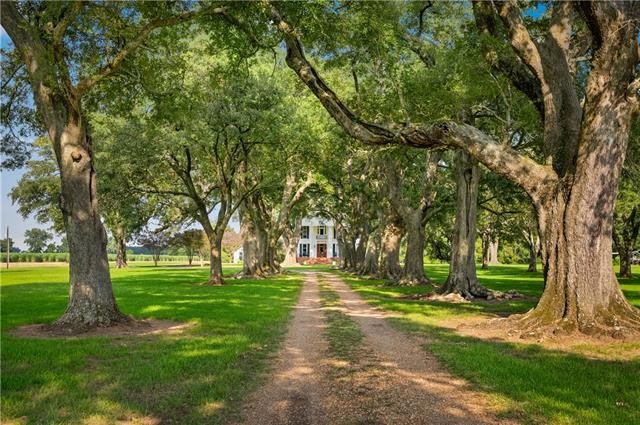 Cheneyville, Louisiana, 71325, United States, 5 Bedrooms Bedrooms, ,4 BathroomsBathrooms,Residential,For Sale,1976425