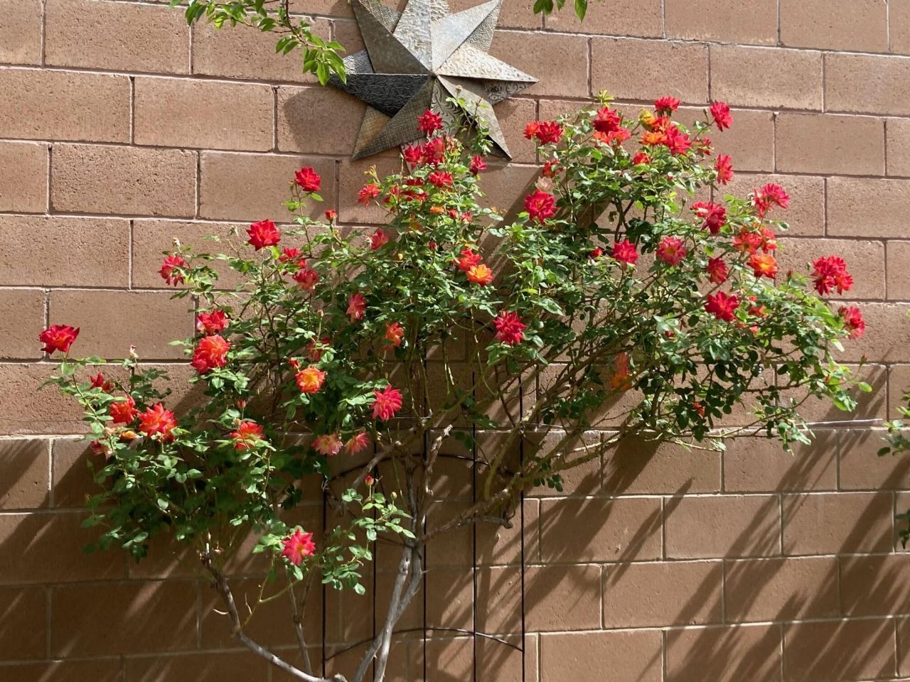 Albuquerque, New Mexico, 87114, United States, 3 Bedrooms Bedrooms, ,3 BathroomsBathrooms,Residential,For Sale,1996892