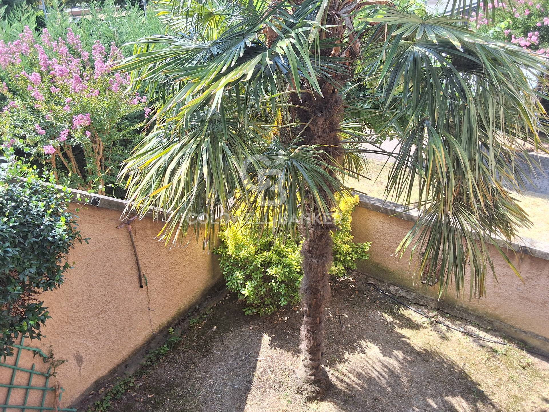 Viale Del Sagittario, Modena, Modena, 41100, IT, 3 Bedrooms Bedrooms, ,3 BathroomsBathrooms,Residential,For Sale,Viale Del Sagittario,1588746