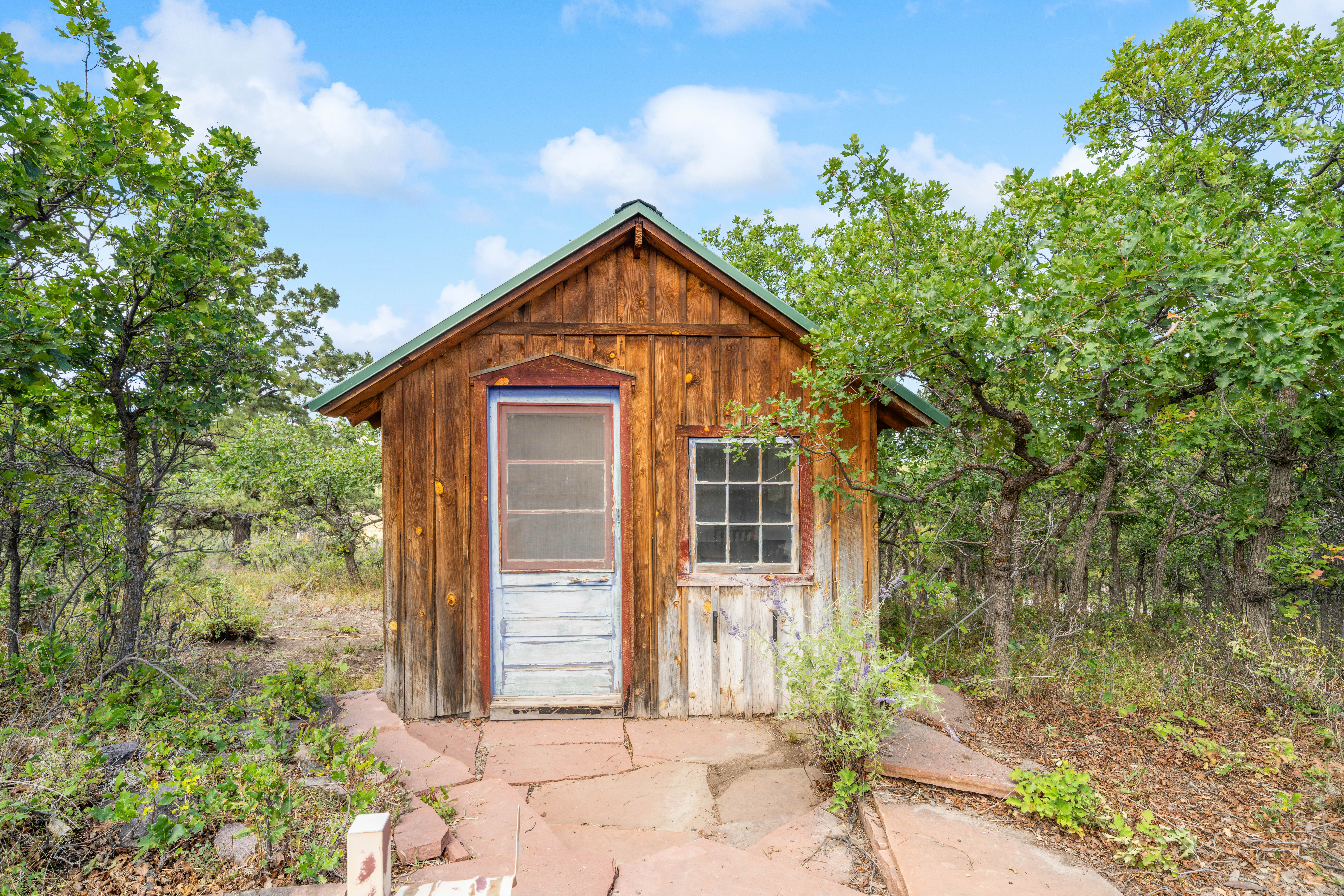  1100 Aspen Drive, Ridgway, CO, 81432 - 物件實景
