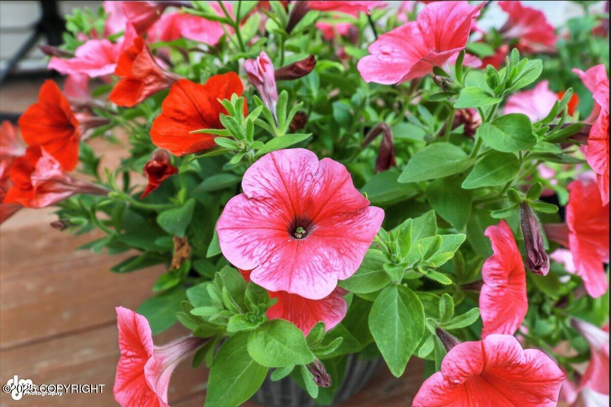 Wasilla, Alaska, 99654, United States, 5 Bedrooms Bedrooms, ,4 BathroomsBathrooms,Residential,For Sale,1974531