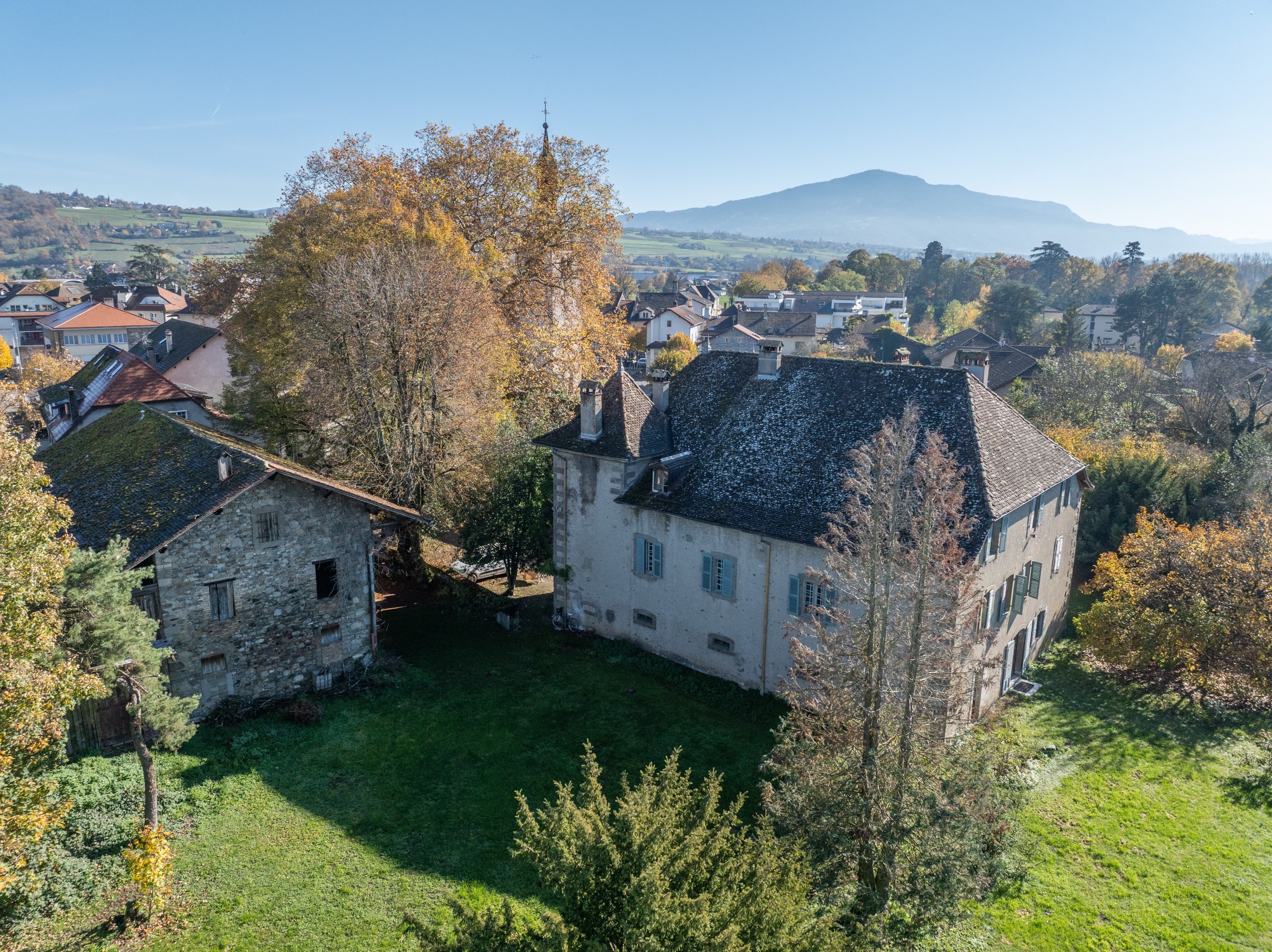  Exceptional manor at the gates of Geneva - 物件實景