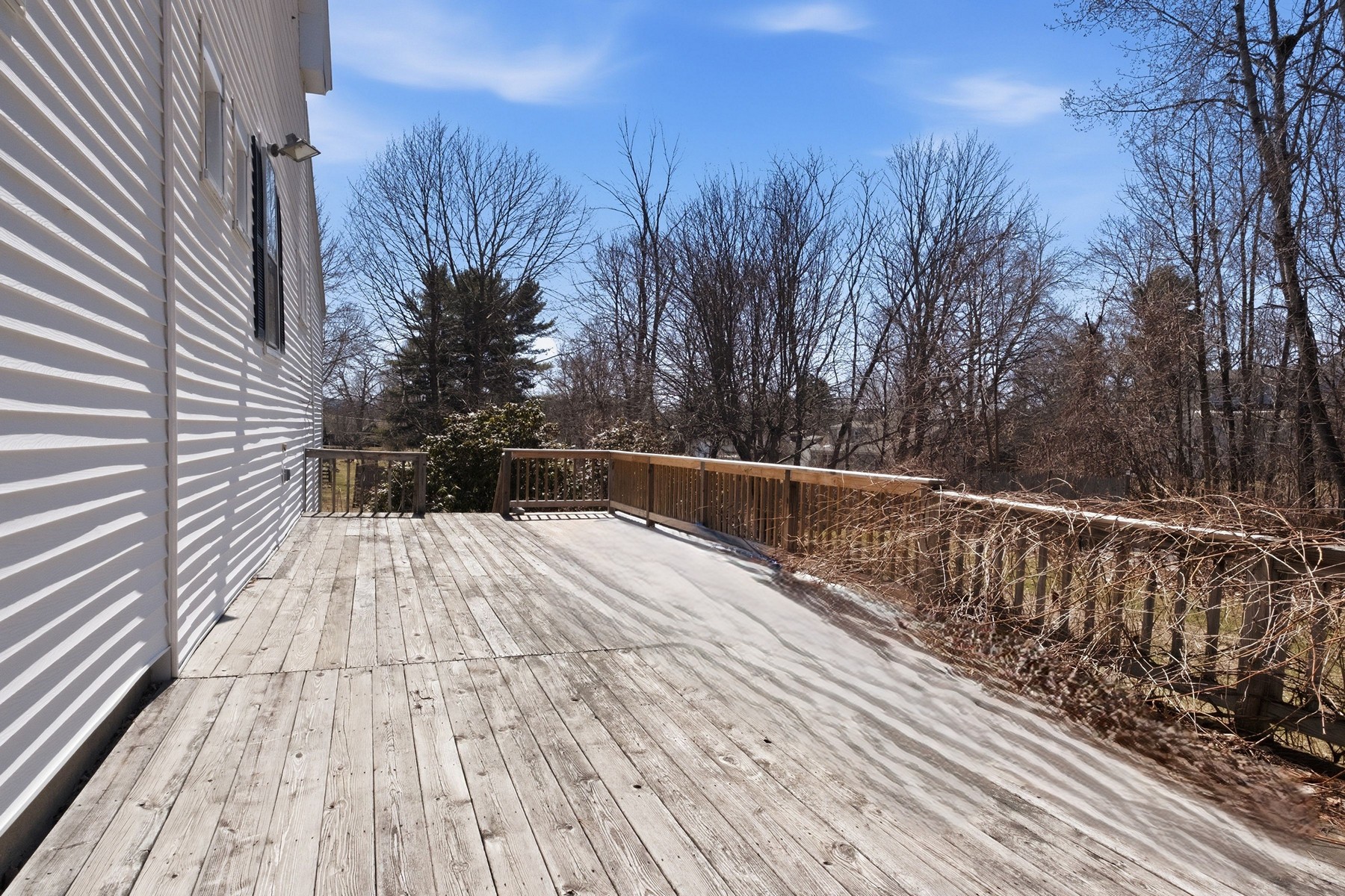  388 Elm Street - 物件實景