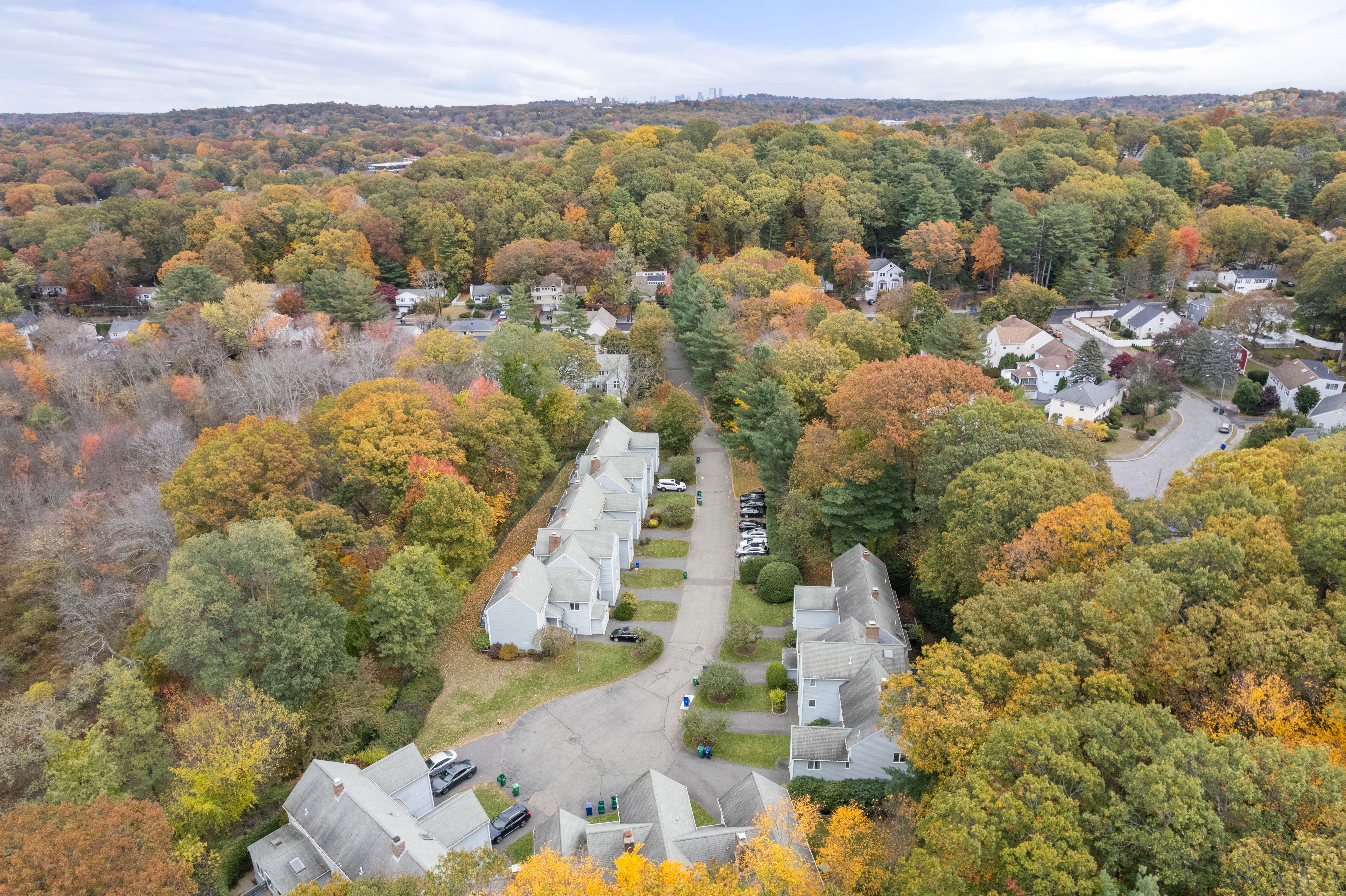  305 Winchester Street, Unit D, Newton, MA, 02461 - 物件實景