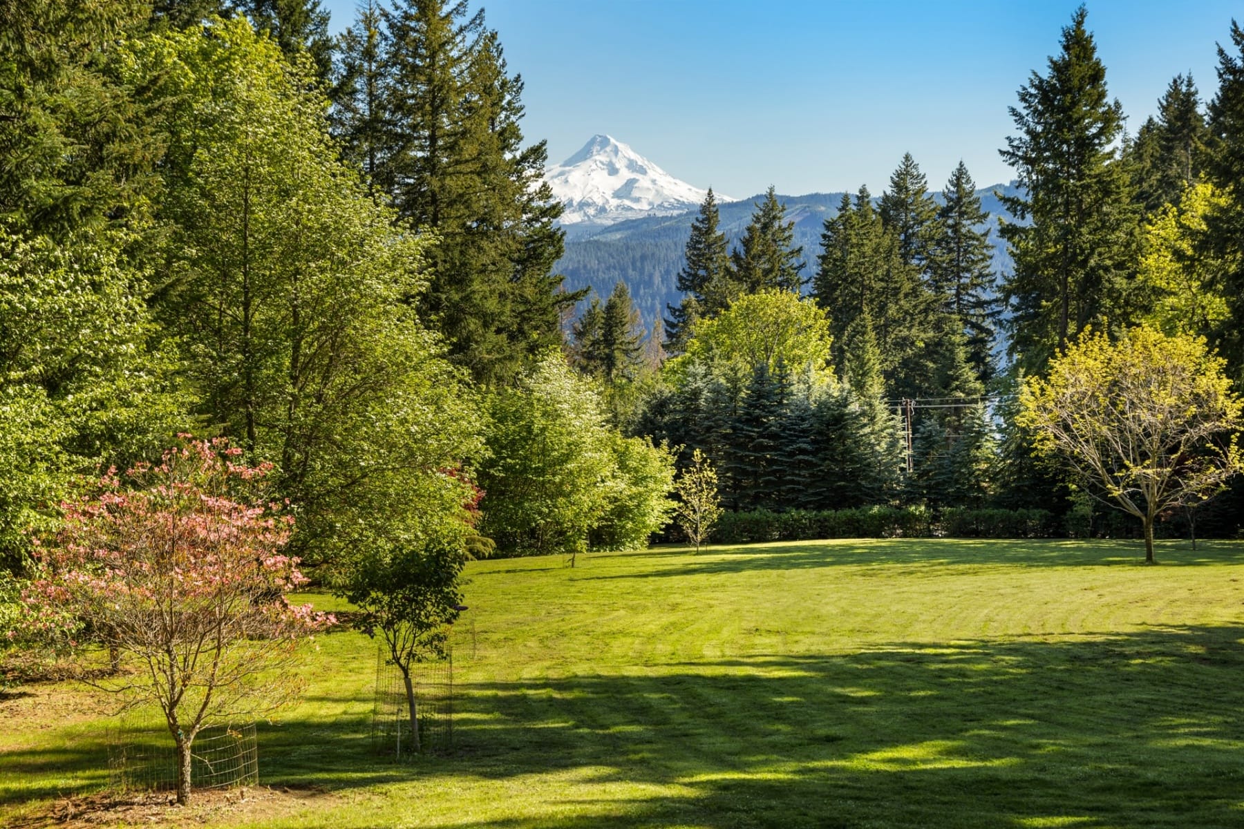  9491 COOK UNDERWOOD RD Underwood, WA 98651 - 物件實景