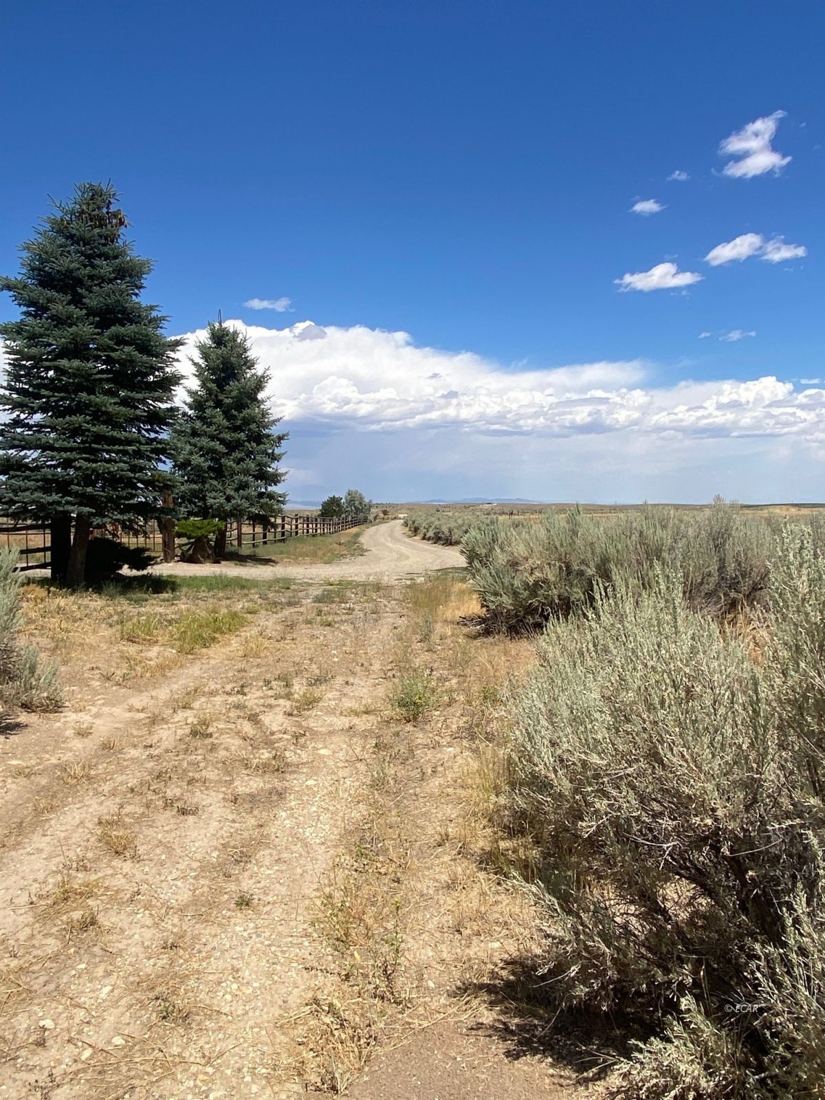 Lamoille, Nevada, 89828, United States, ,Land,For Sale,1911712