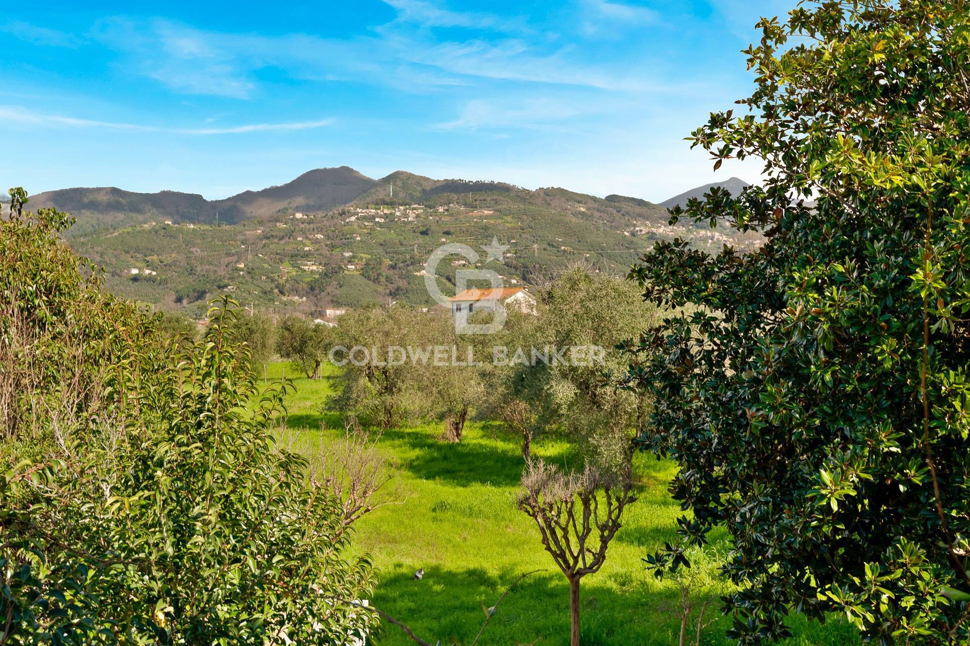 Via Pisanica, Pietrasanta, Lucca, 55045, IT, 4 Bedrooms Bedrooms, ,4 BathroomsBathrooms,Residential,For Sale,Via Pisanica,1627821