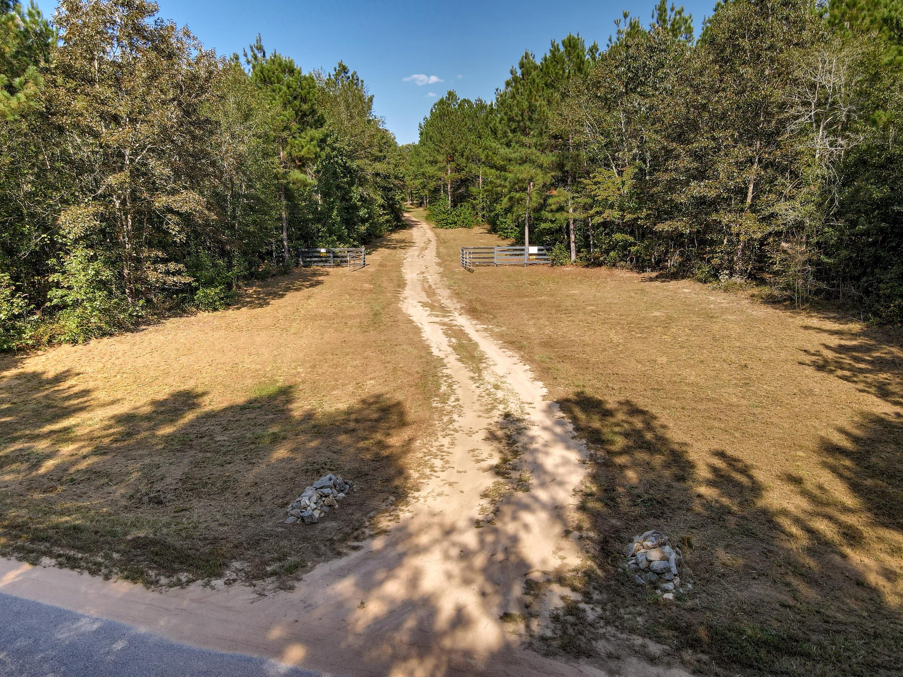 Wagener, South Carolina, 29164, United States, ,Land,For Sale,1969040