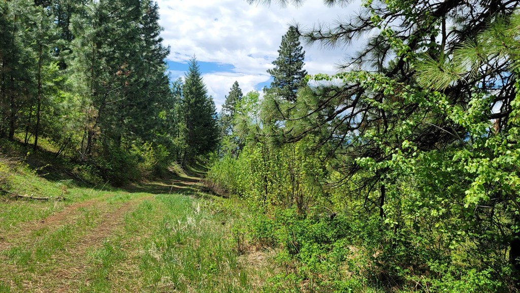 Council, Idaho, 83612, United States, 3 Bedrooms Bedrooms, ,2 BathroomsBathrooms,Residential,For Sale,1980798