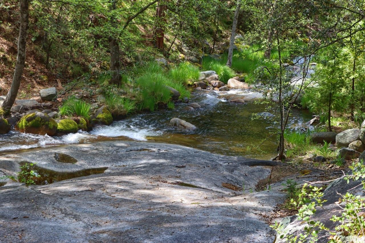 Mariposa, California, 95338, United States, 3 Bedrooms Bedrooms, ,3 BathroomsBathrooms,Residential,For Sale,1988847