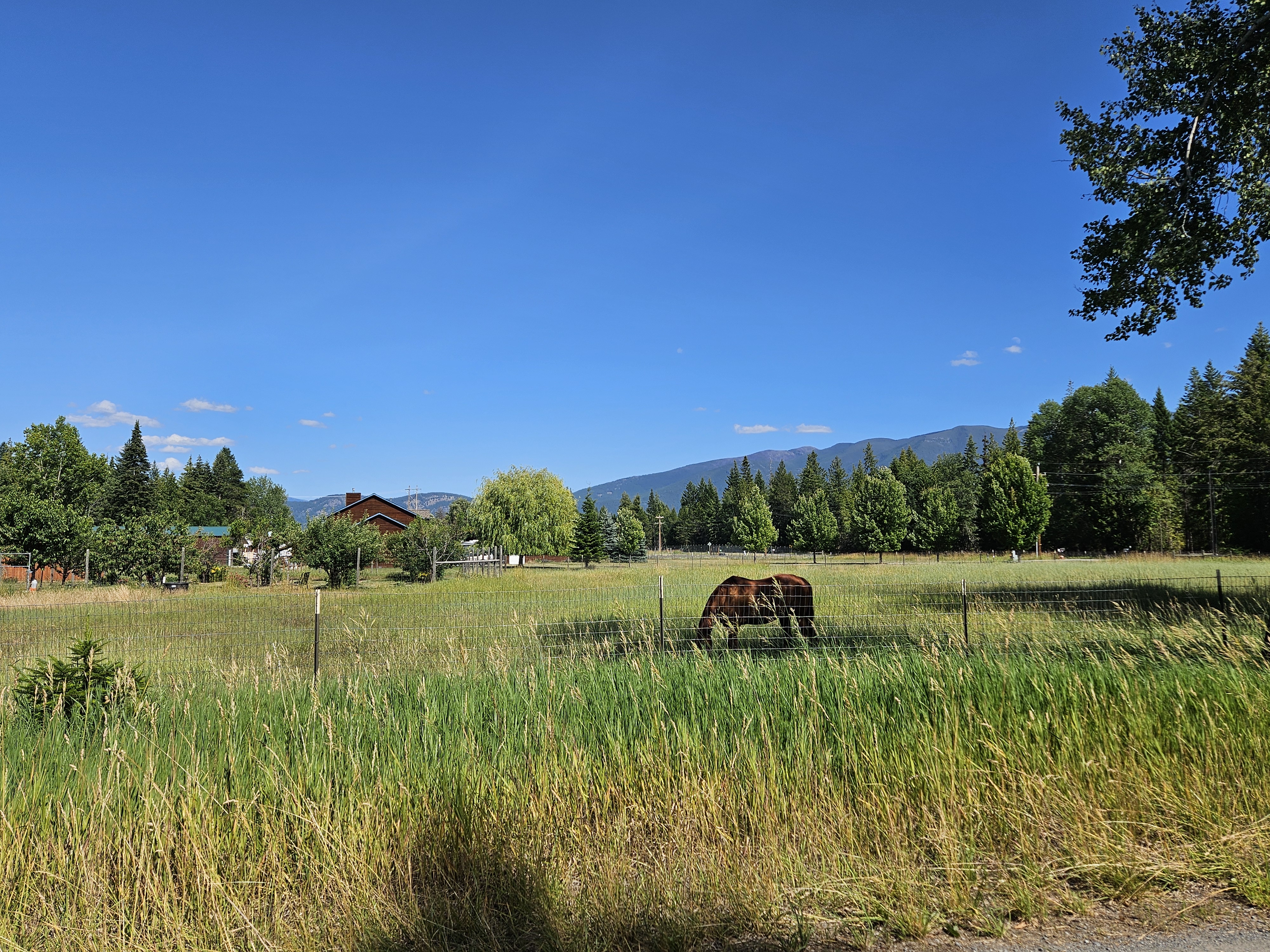 Bonners Ferry, Idaho, 83805, United States, 3 Bedrooms Bedrooms, ,2 BathroomsBathrooms,Residential,For Sale,1921279