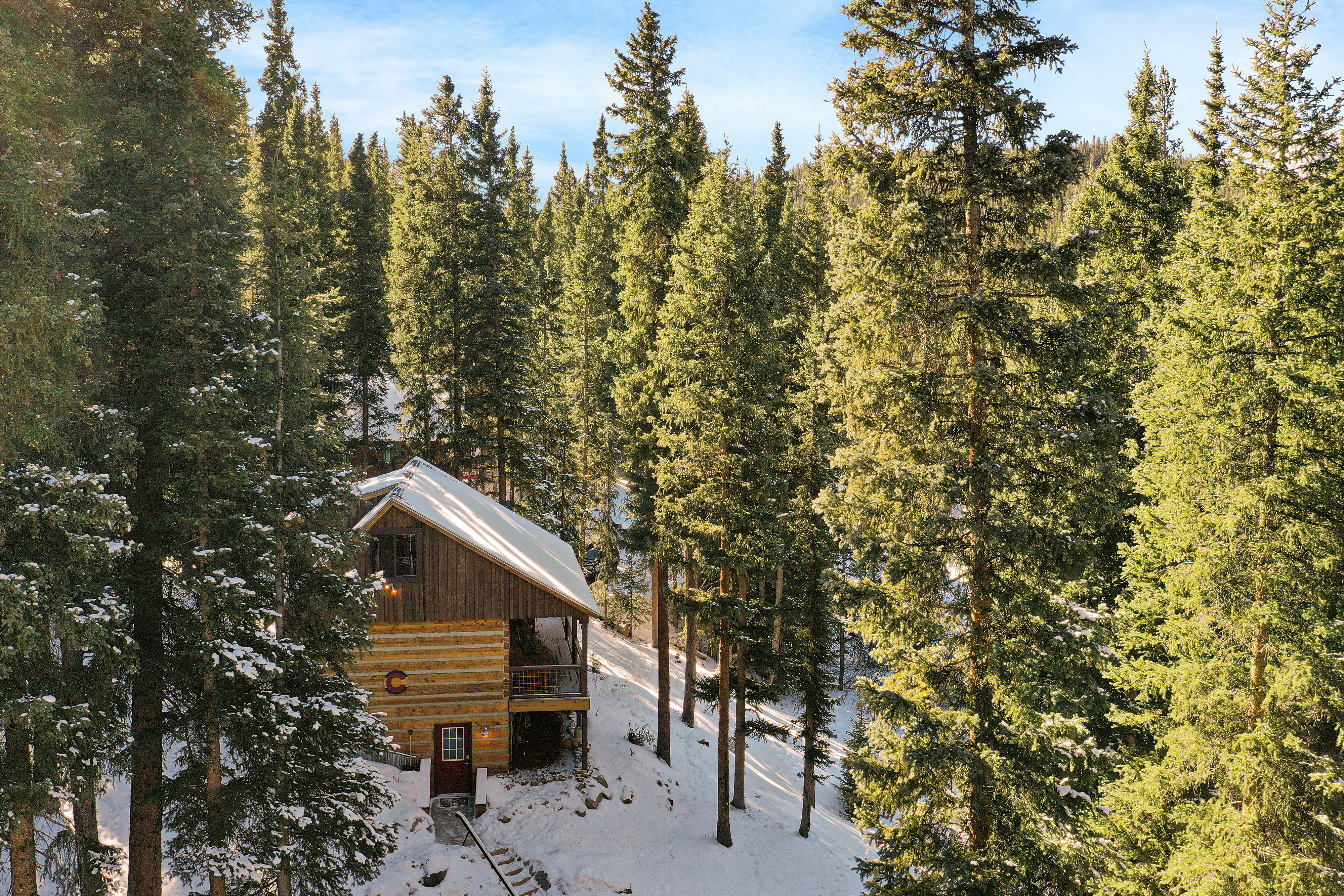  Cozy Cabin 1/2 Acre Backing to National Forest and Minutes from Main Street - 物件實景