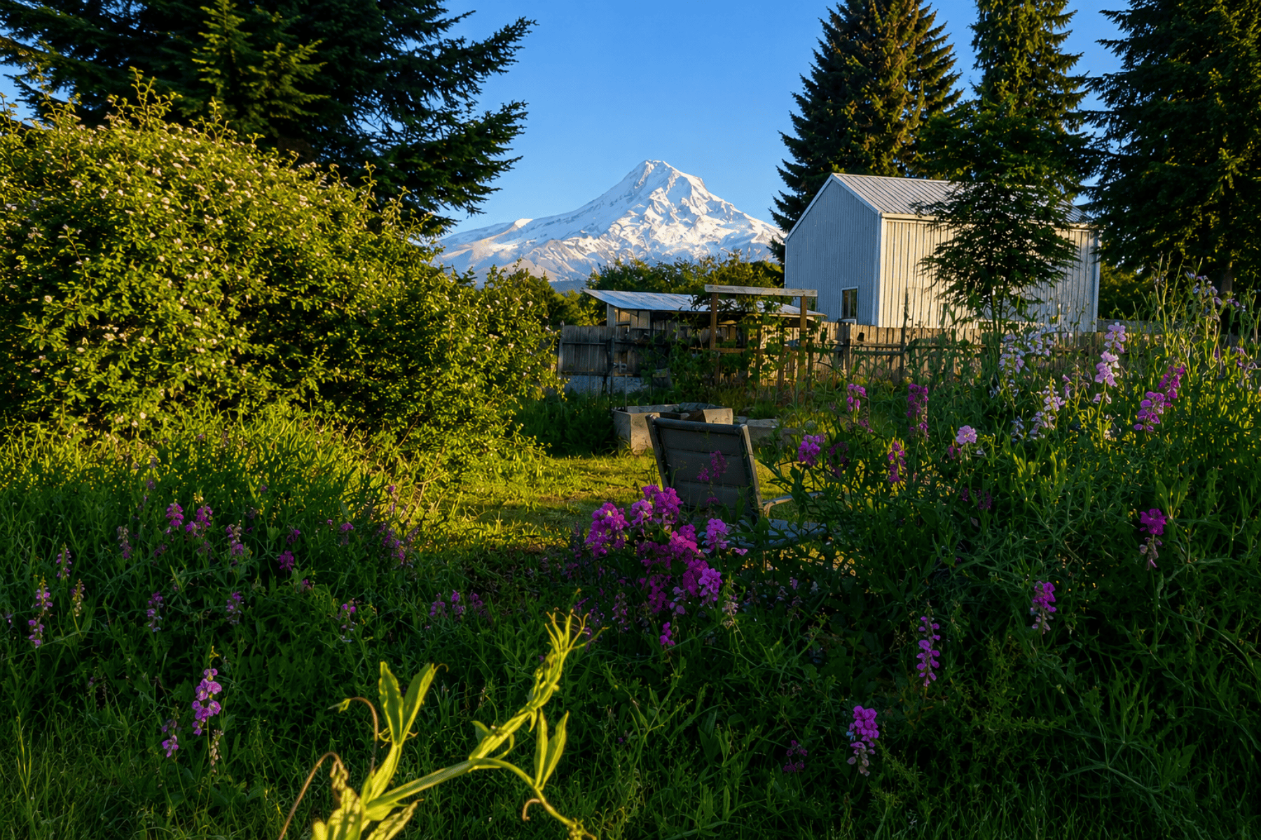  6455 TROUT CREEK RIDGE RD Mt Hood Prkdl, OR 97041 - 物件實景