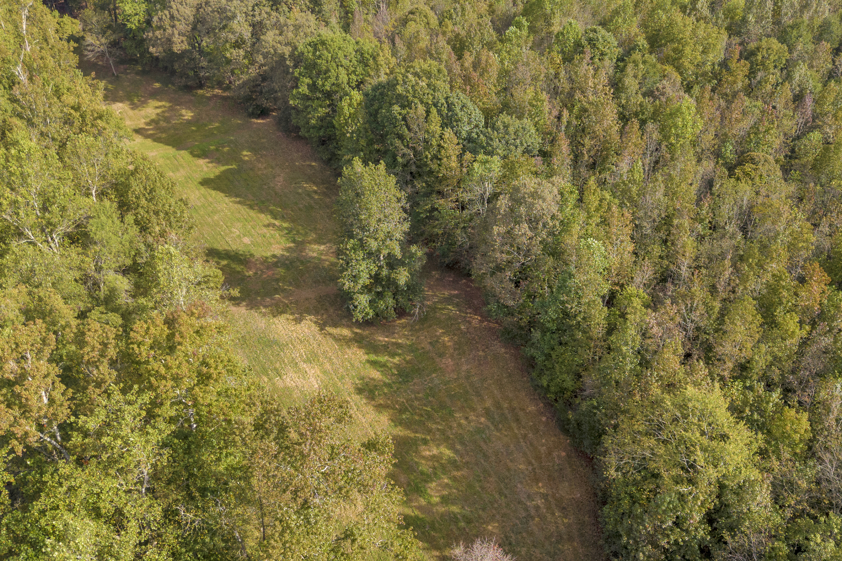 Cleveland, Georgia, 30528, United States, 3 Bedrooms Bedrooms, ,2 BathroomsBathrooms,Residential,For Sale,1979350