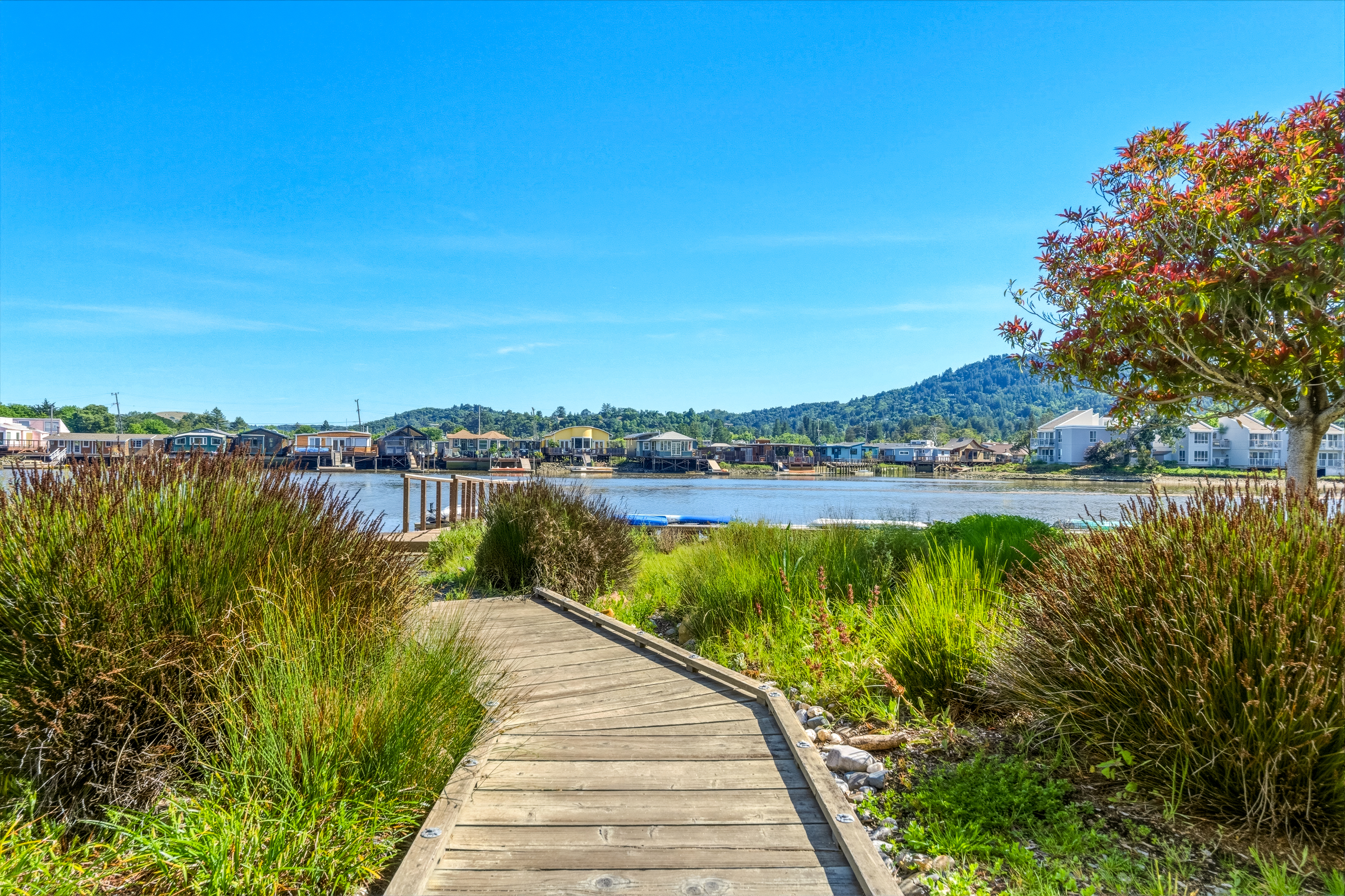  Spacious Top-Floor Condo in the Heart of Greenbrae - 物件實景