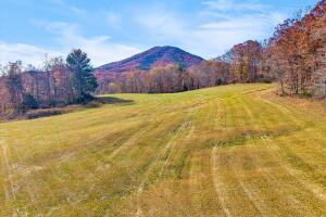 Fincastle, Virginia, 24090, United States, ,Residential,For Sale,1989448