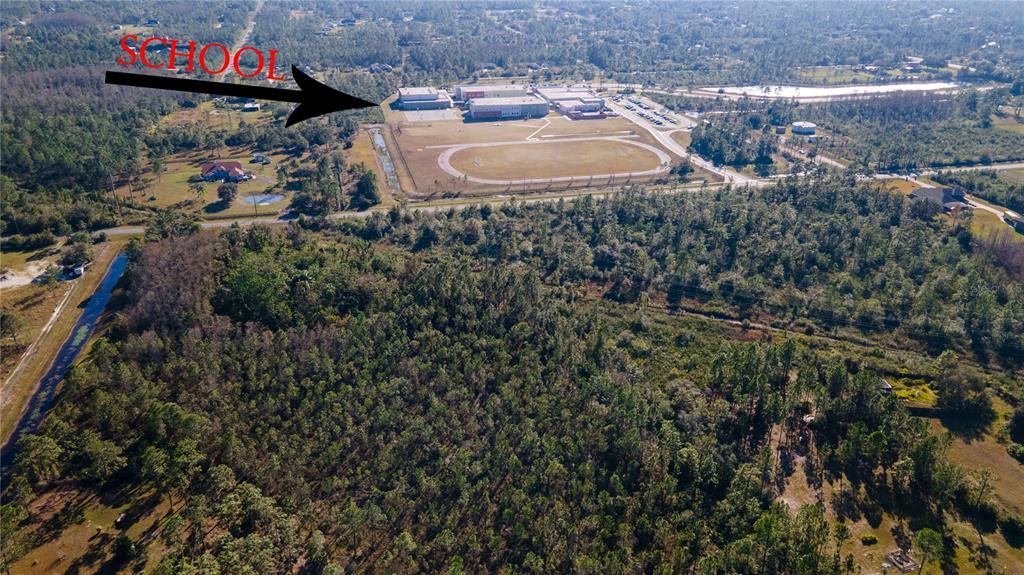 Ortega Street, Orlando, Florida, 32833, United States, ,Land,For Sale,Ortega Street,1653148