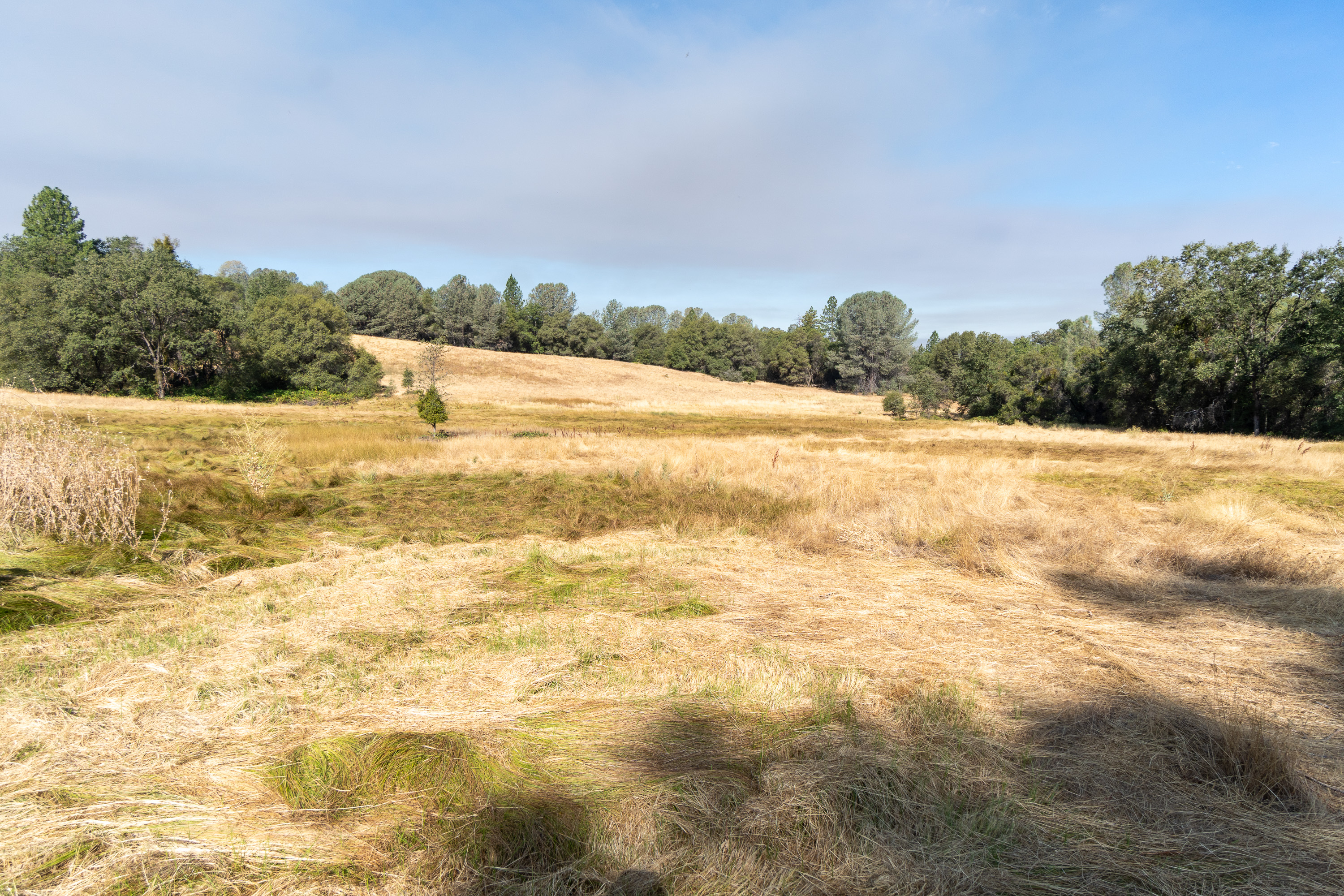  Historic Gold Rush-Era Ranch on 60 Acres in El Dorado County - 物件實景