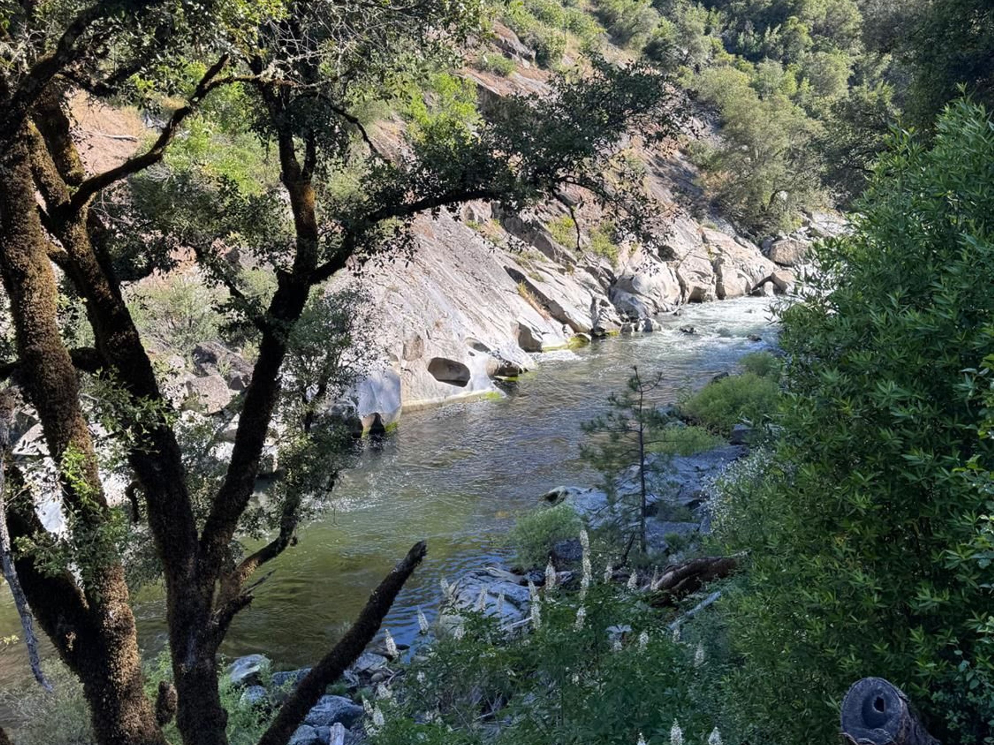  0 Old Country Road, West Point, CA 95255 - 物件實景