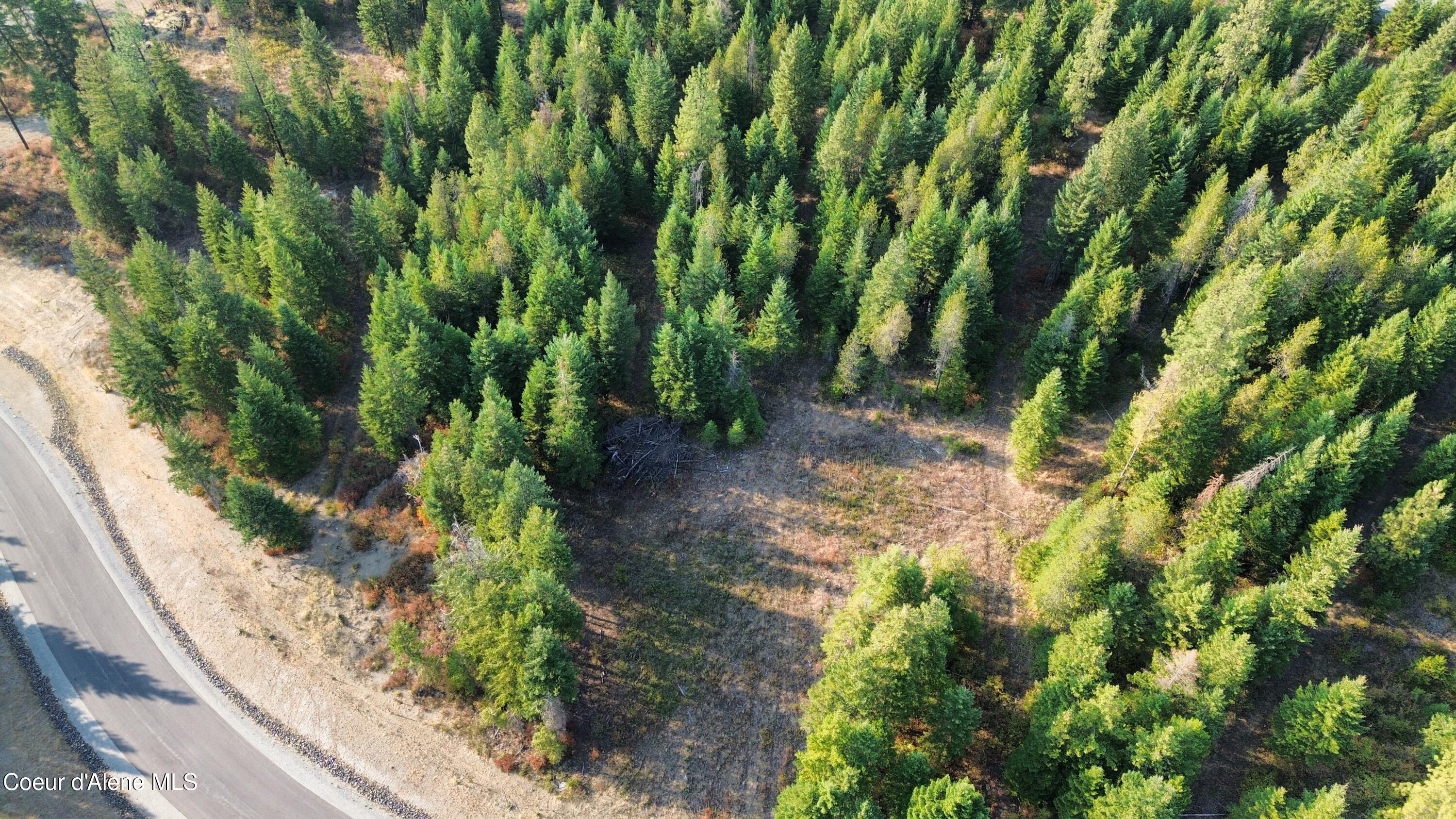 Spirit Lake, Idaho, 83869, United States, ,Land,For Sale,1981864