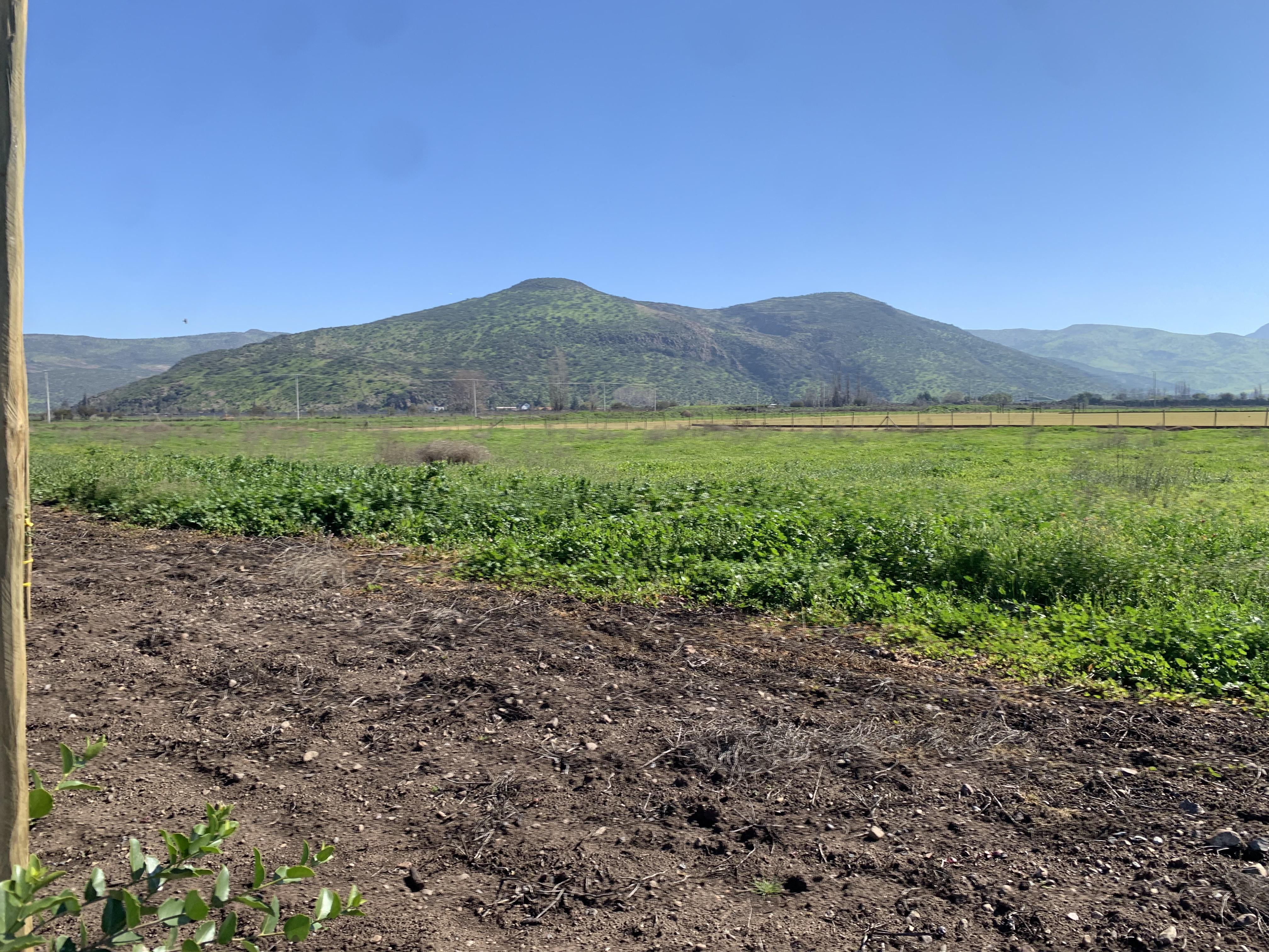 Colina, Chile, ,Land,For Sale,1940115