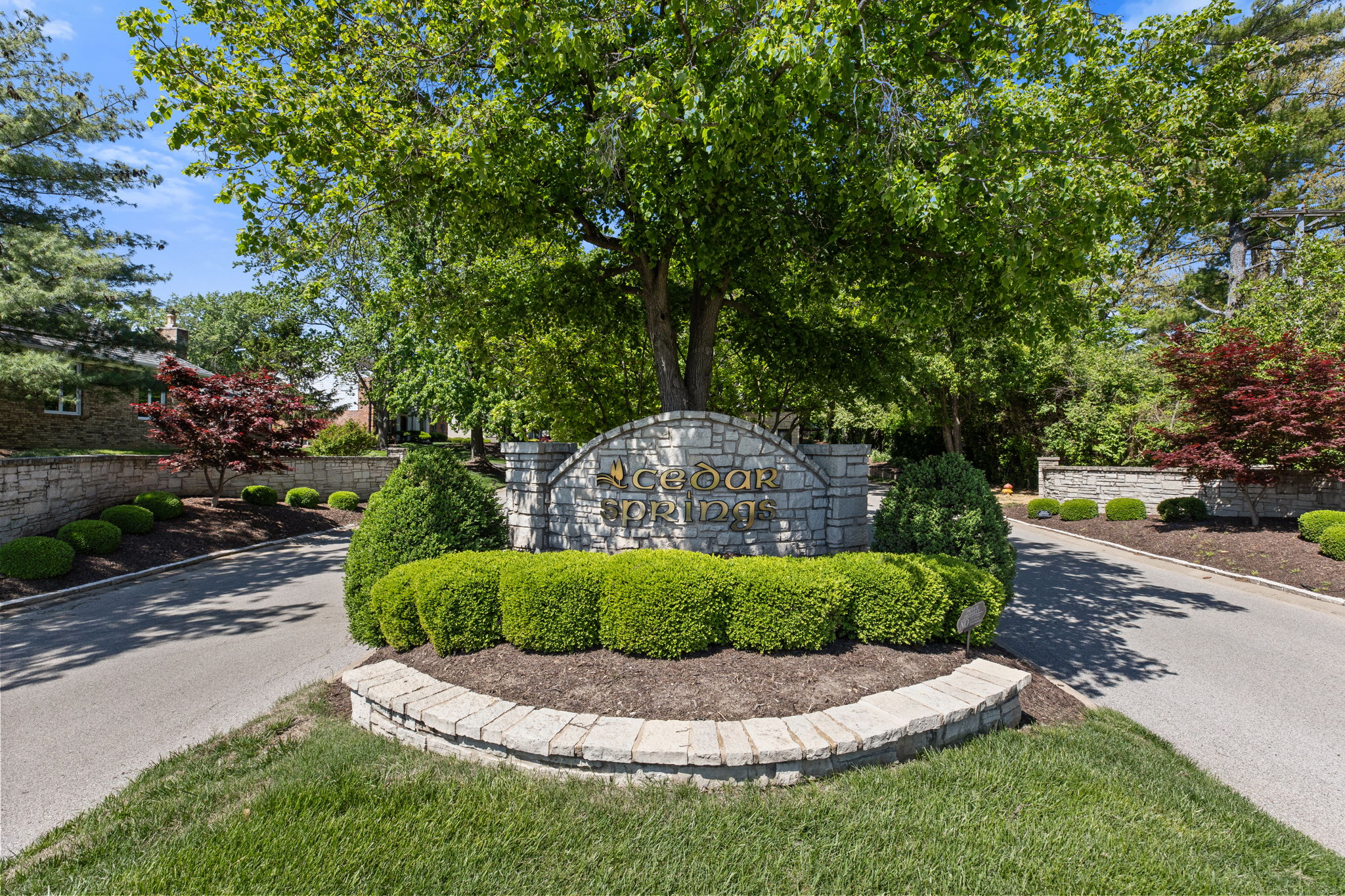  Stunning Cedar Springs Townhome with Modern Updates and Spacious Living - 物件實景