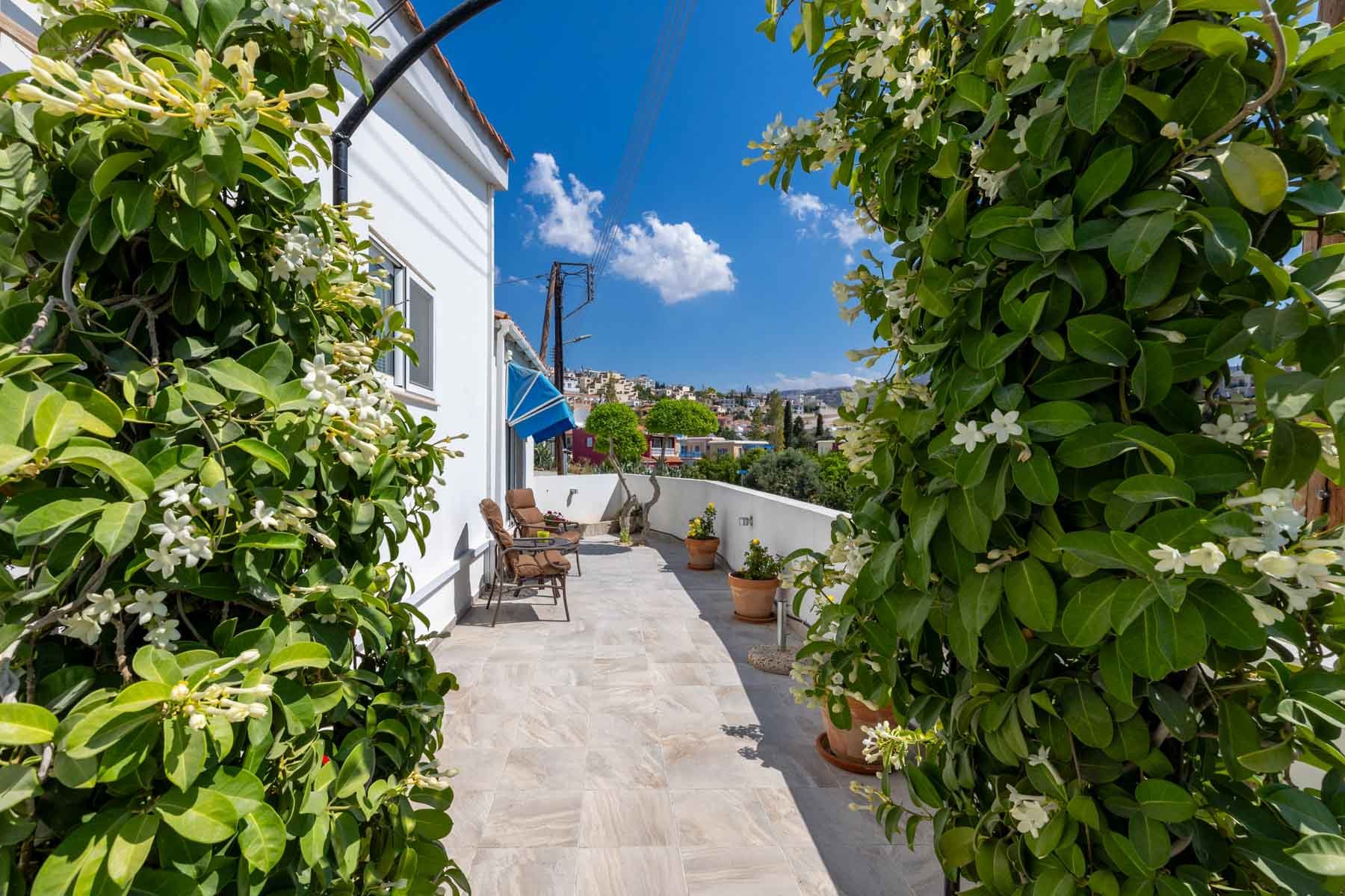  Contemporary 3+1 Bedroom Bungalow with Sea Views in Pegeia, Pafos - 物件實景