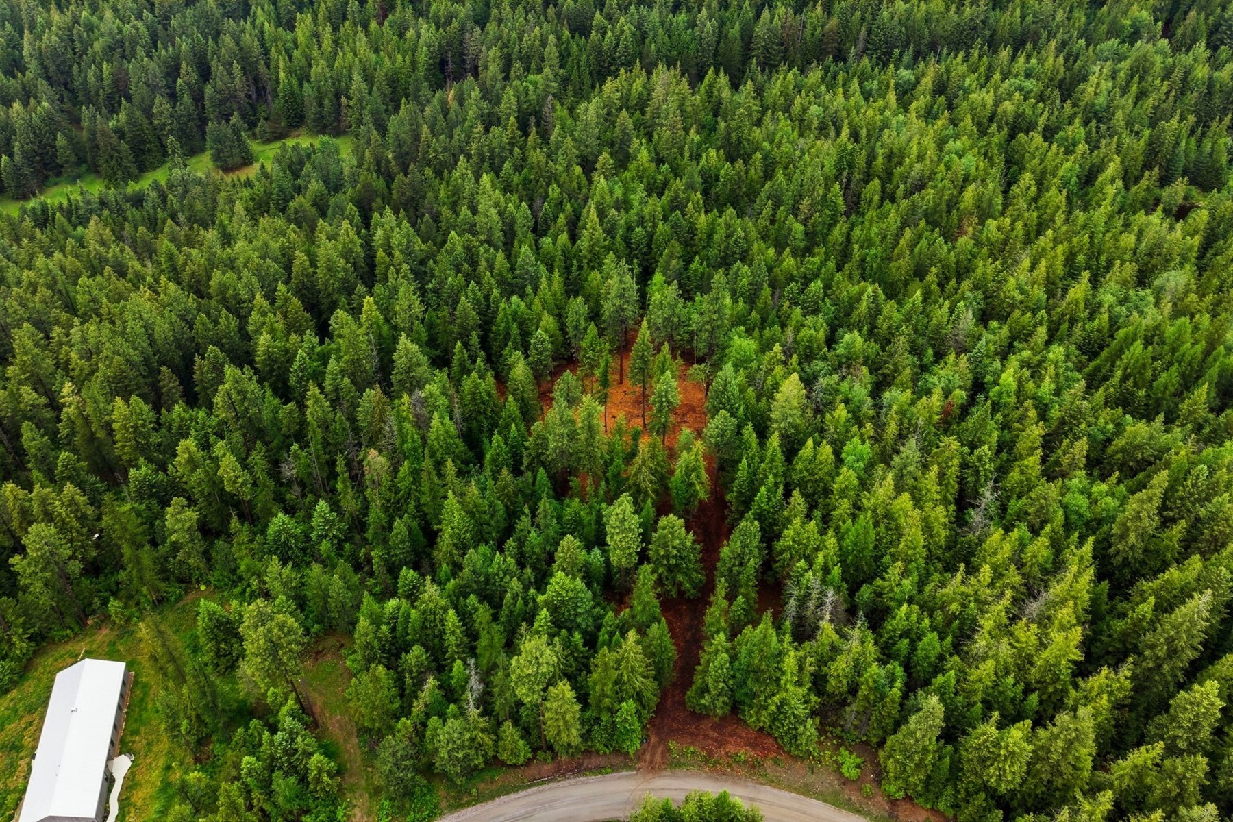  East of Clark Fork - 物件實景