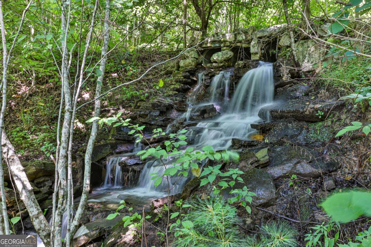 Cherry Log, Georgia, 30522, United States, ,Land,For Sale,1859131