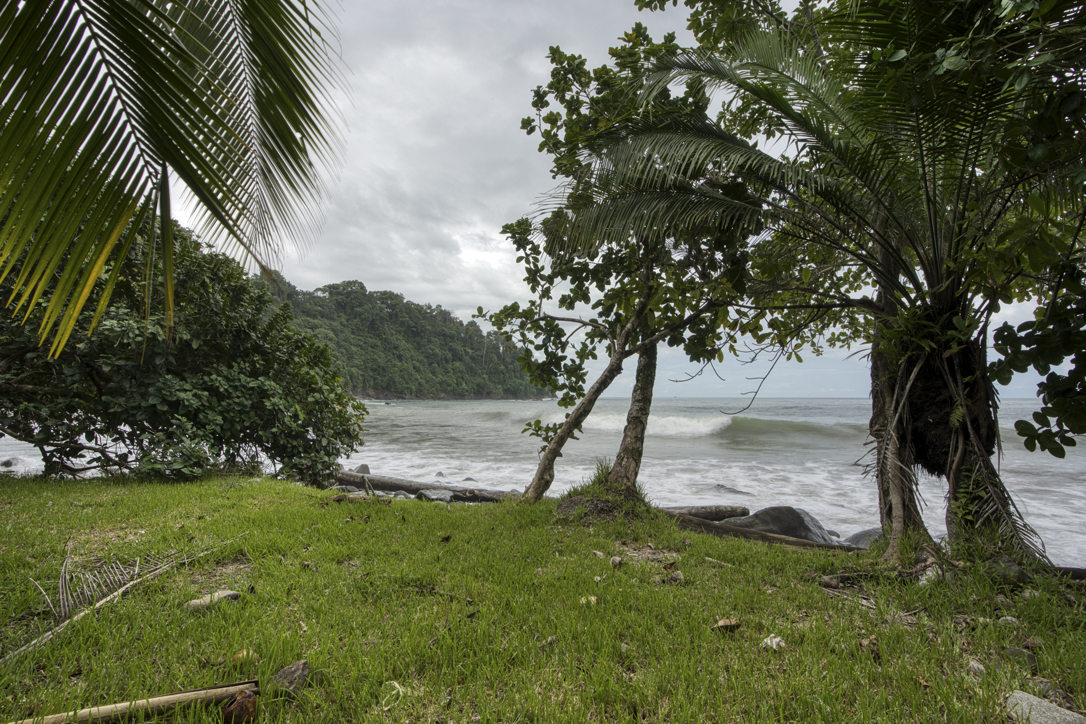 Dominical, Puntarenas, CR, ,Land,For Sale,1839872