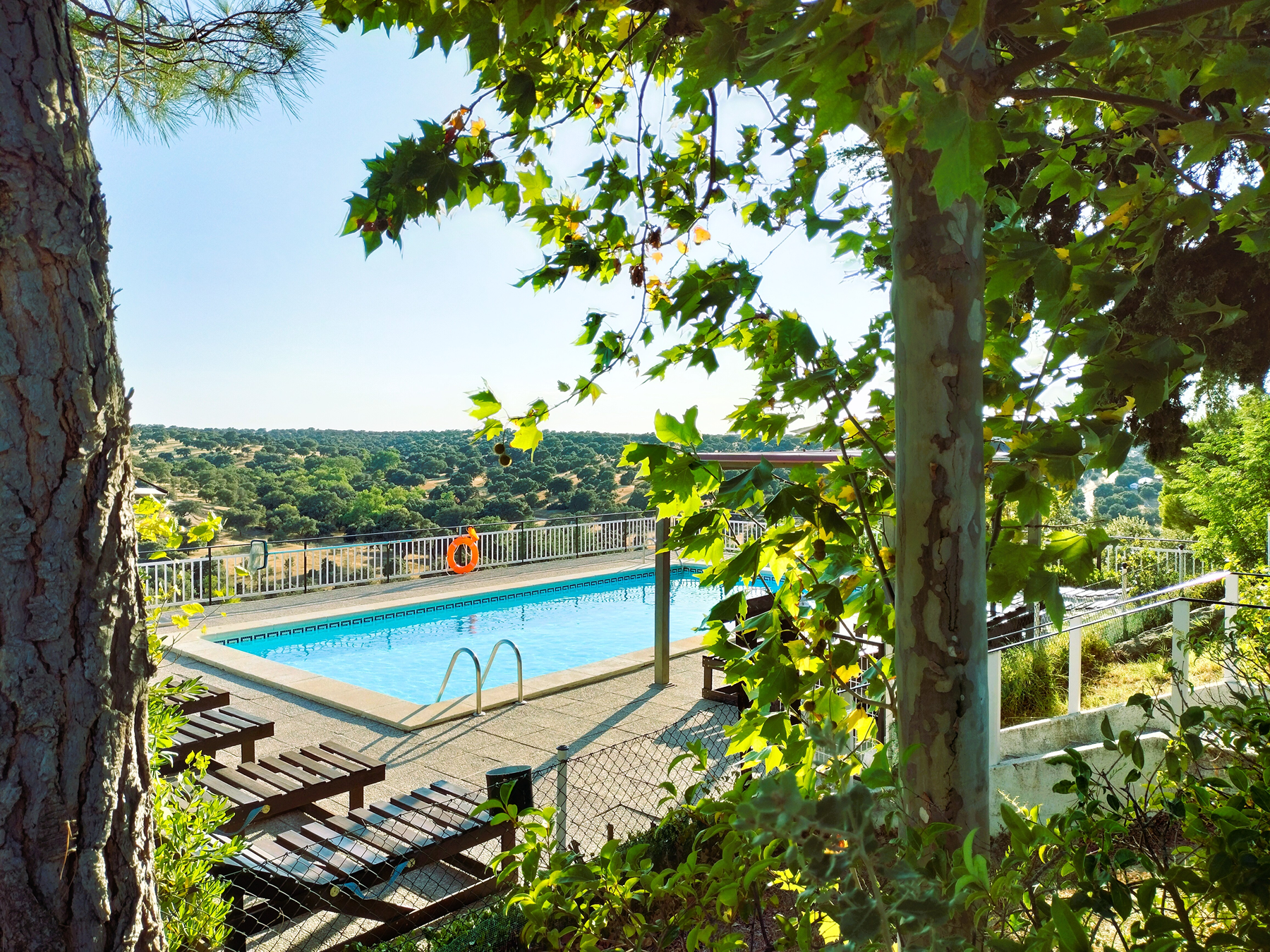  11-hectare Equestrian Estate in Madrid - 物件實景